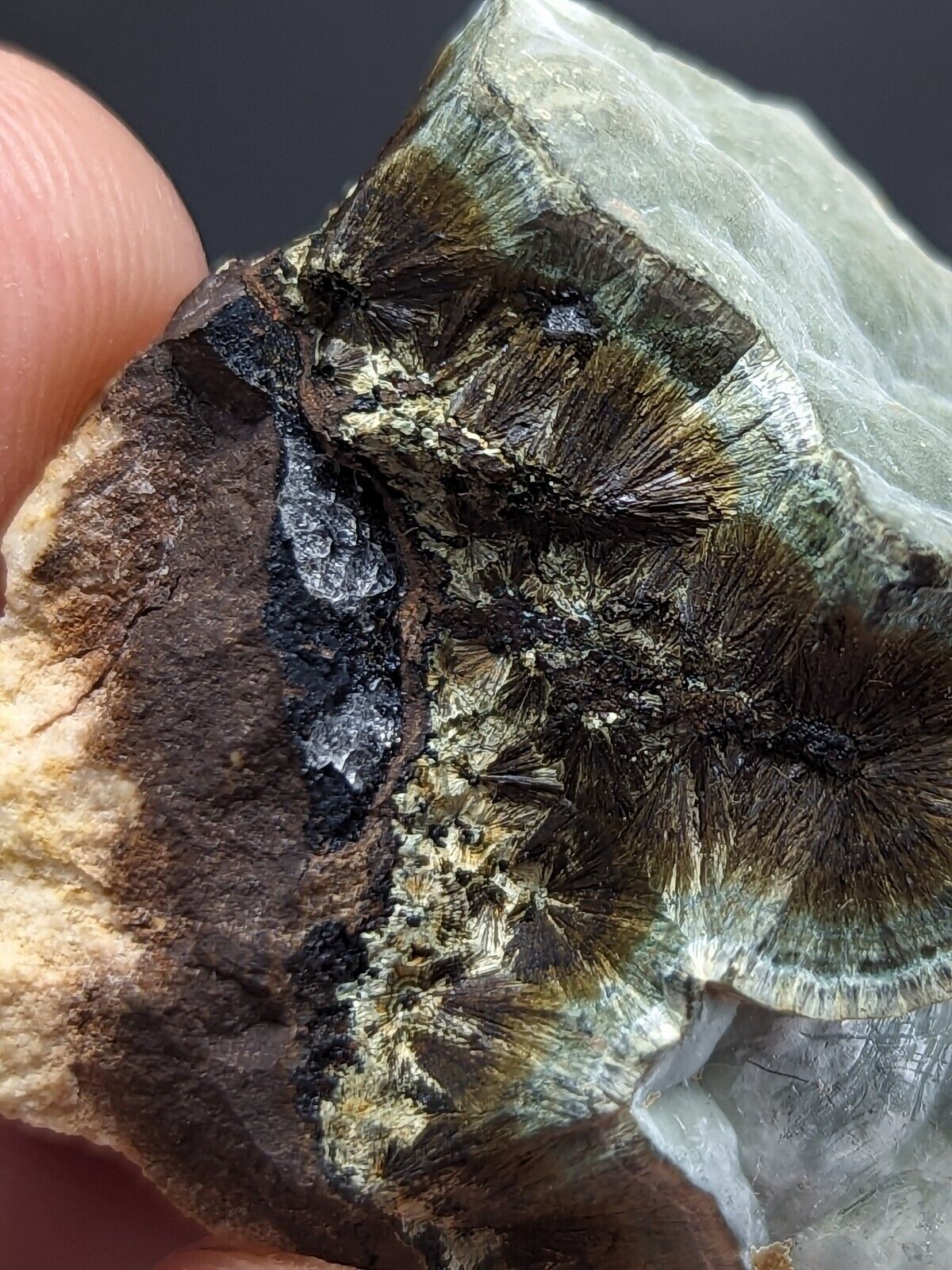 Kidwellite Dufrenite Beraunite etc (VERY RARE 3 Oaks Gap Polk Co. Arkansas) - Collectibles:Rocks Fossils &