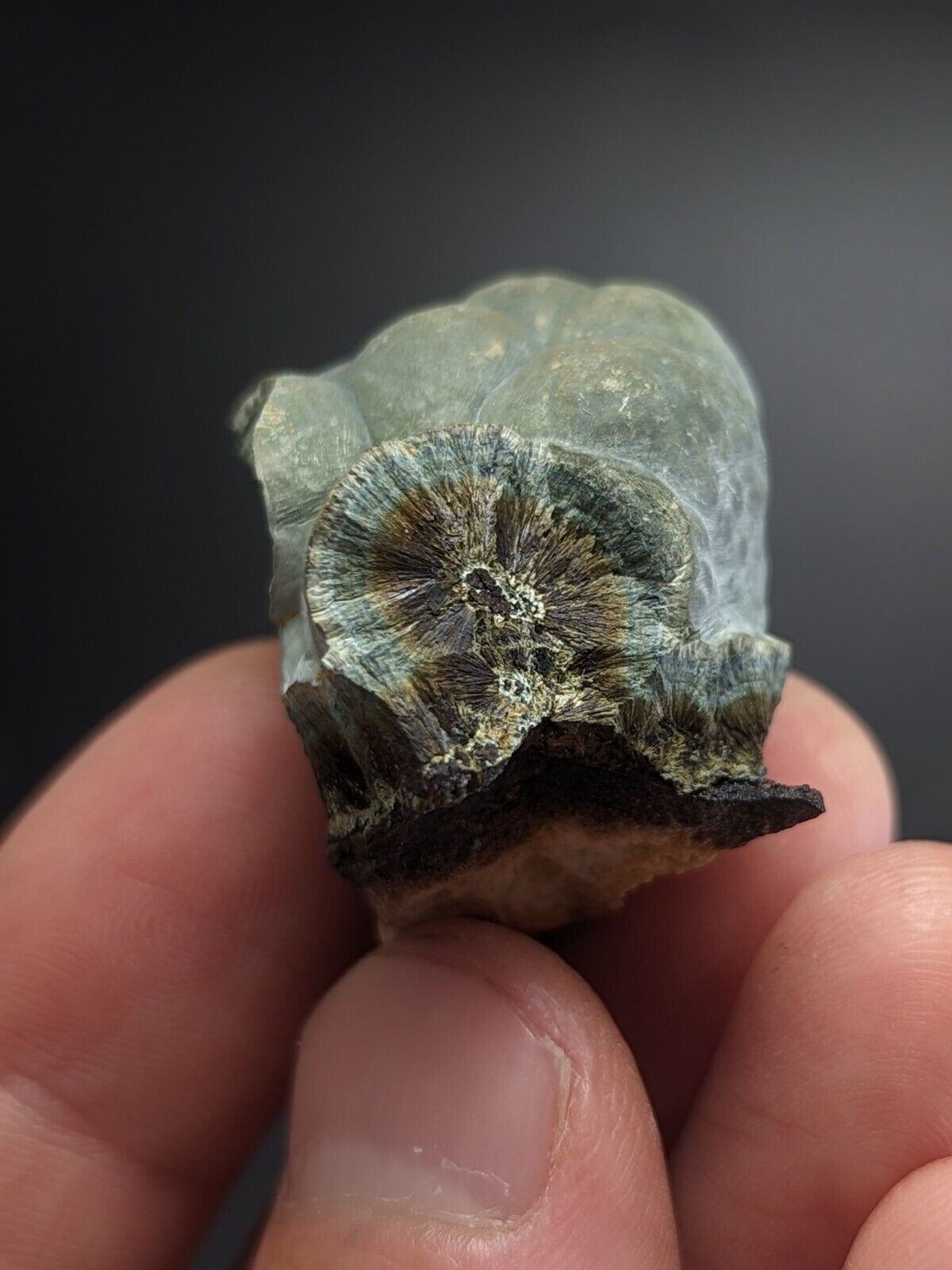 Kidwellite Dufrenite Beraunite etc (VERY RARE 3 Oaks Gap Polk Co. Arkansas) - Collectibles:Rocks Fossils &