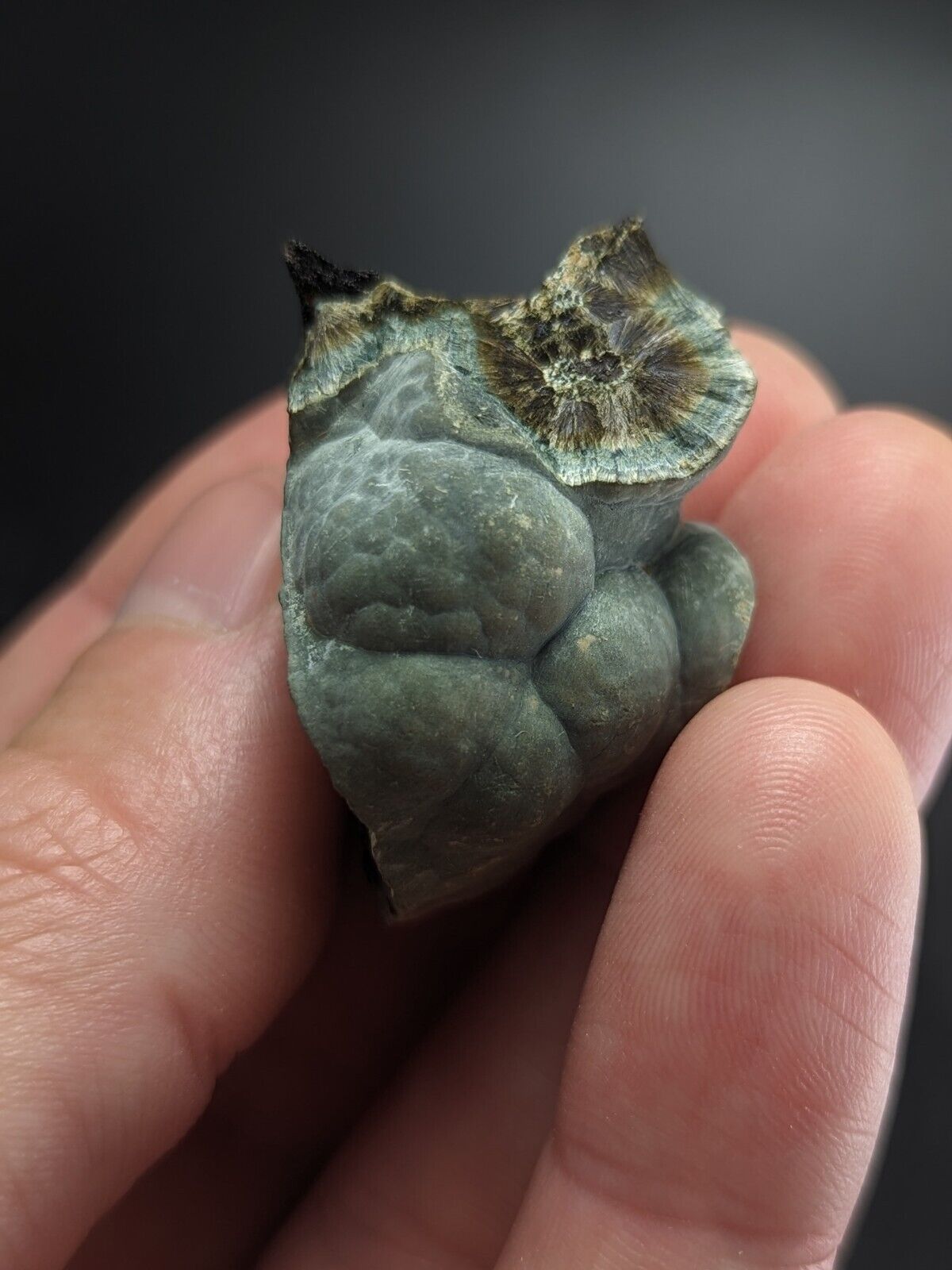 Kidwellite Dufrenite Beraunite etc (VERY RARE 3 Oaks Gap Polk Co. Arkansas) - Collectibles:Rocks Fossils &