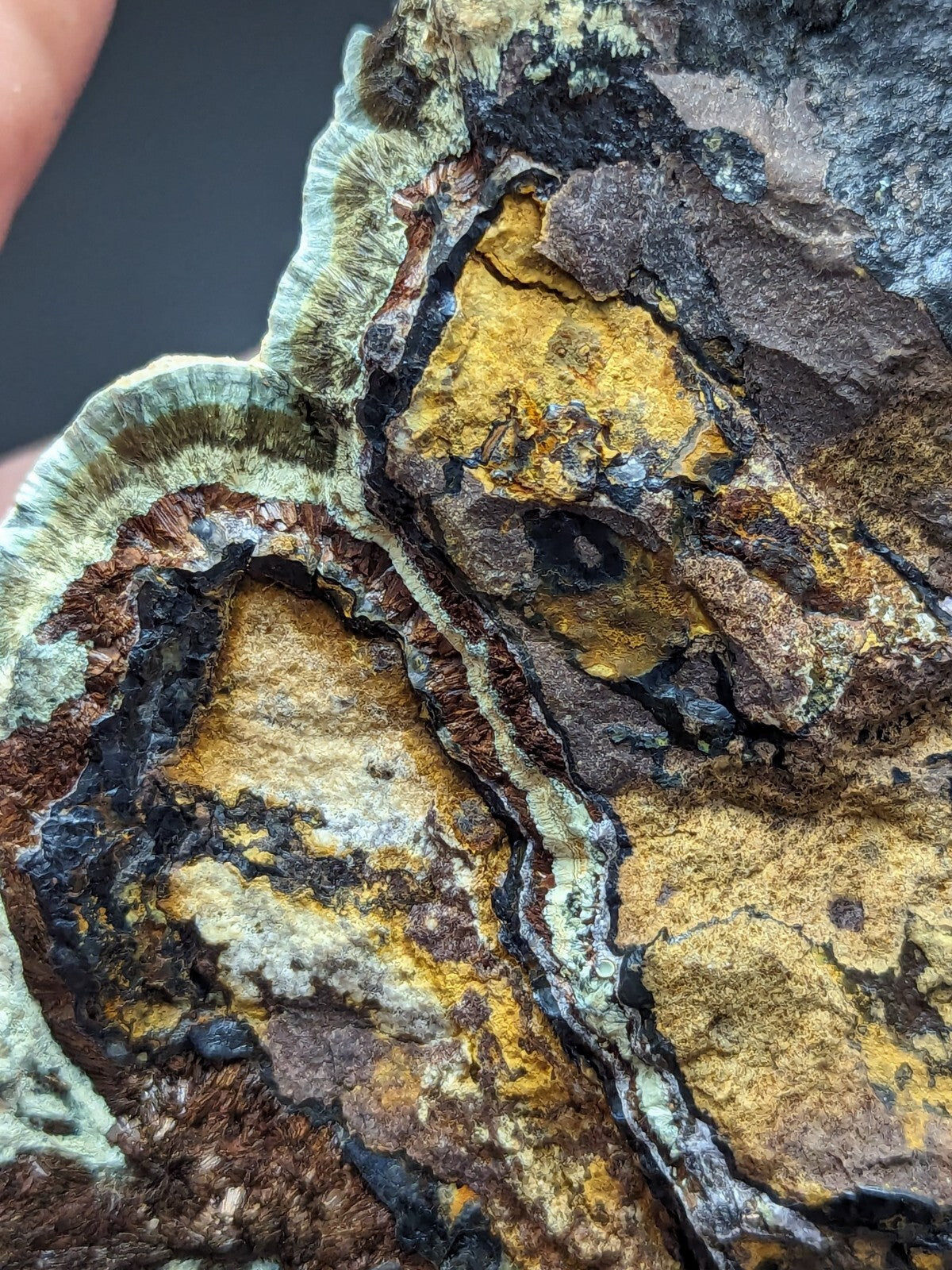 A rugged, multi-colored rock specimen featuring vibrant yellow and brown patches with dark fissures and a textured surface.