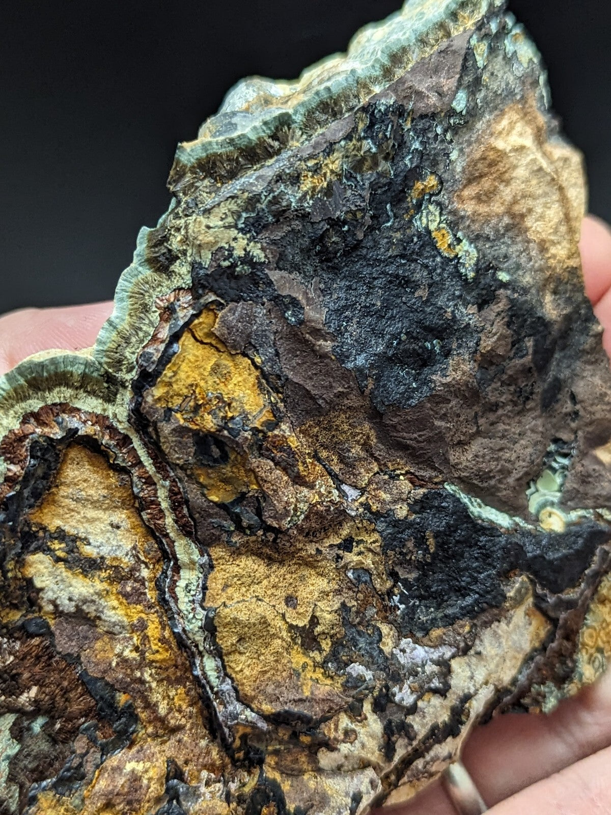 A rugged, naturally occurring mineral specimen with a striking pattern of golden-yellow and dark black patches against a textured brown base.