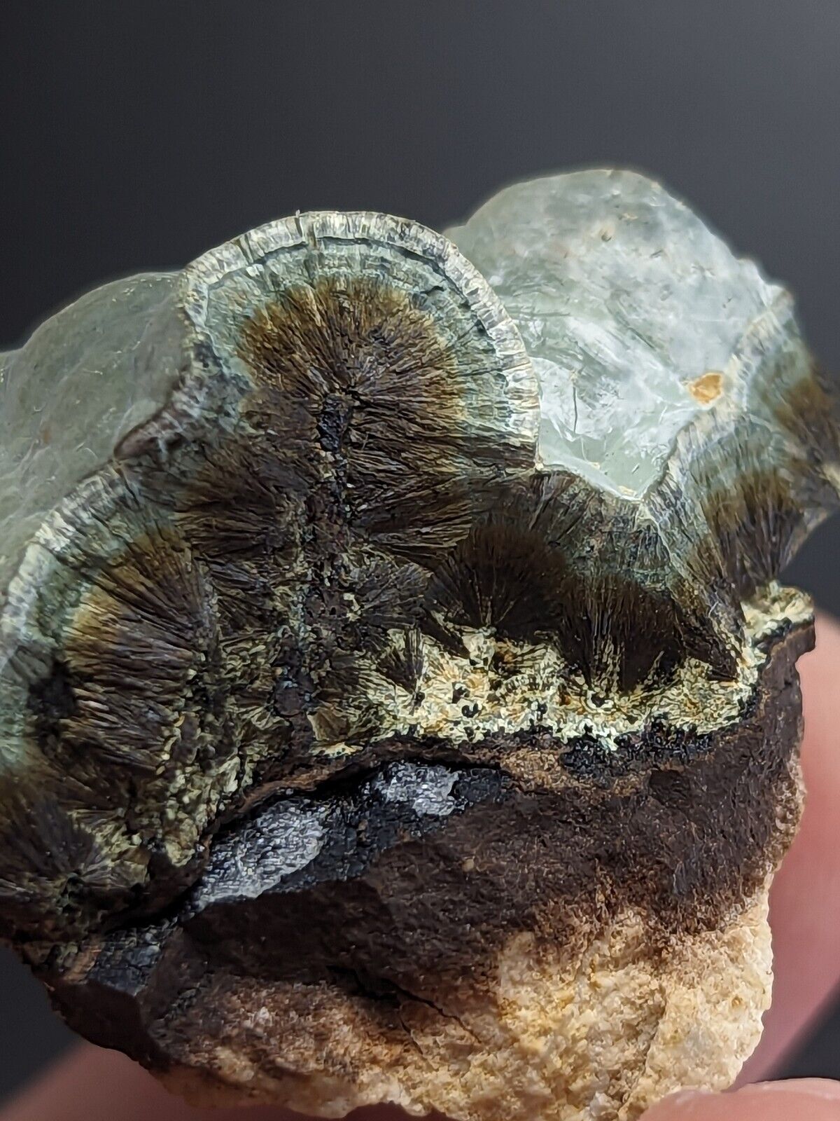 Kidwellite Dufrenite Beraunite etc (VERY RARE 3 Oaks Gap Polk Co. Arkansas) - Collectibles:Rocks Fossils &