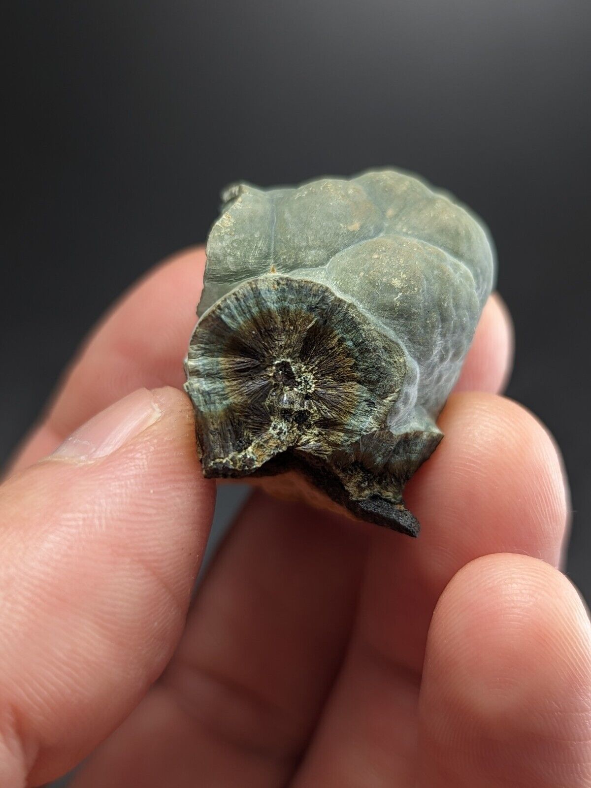 Kidwellite Dufrenite Beraunite etc (VERY RARE 3 Oaks Gap Polk Co. Arkansas) - Collectibles:Rocks Fossils &