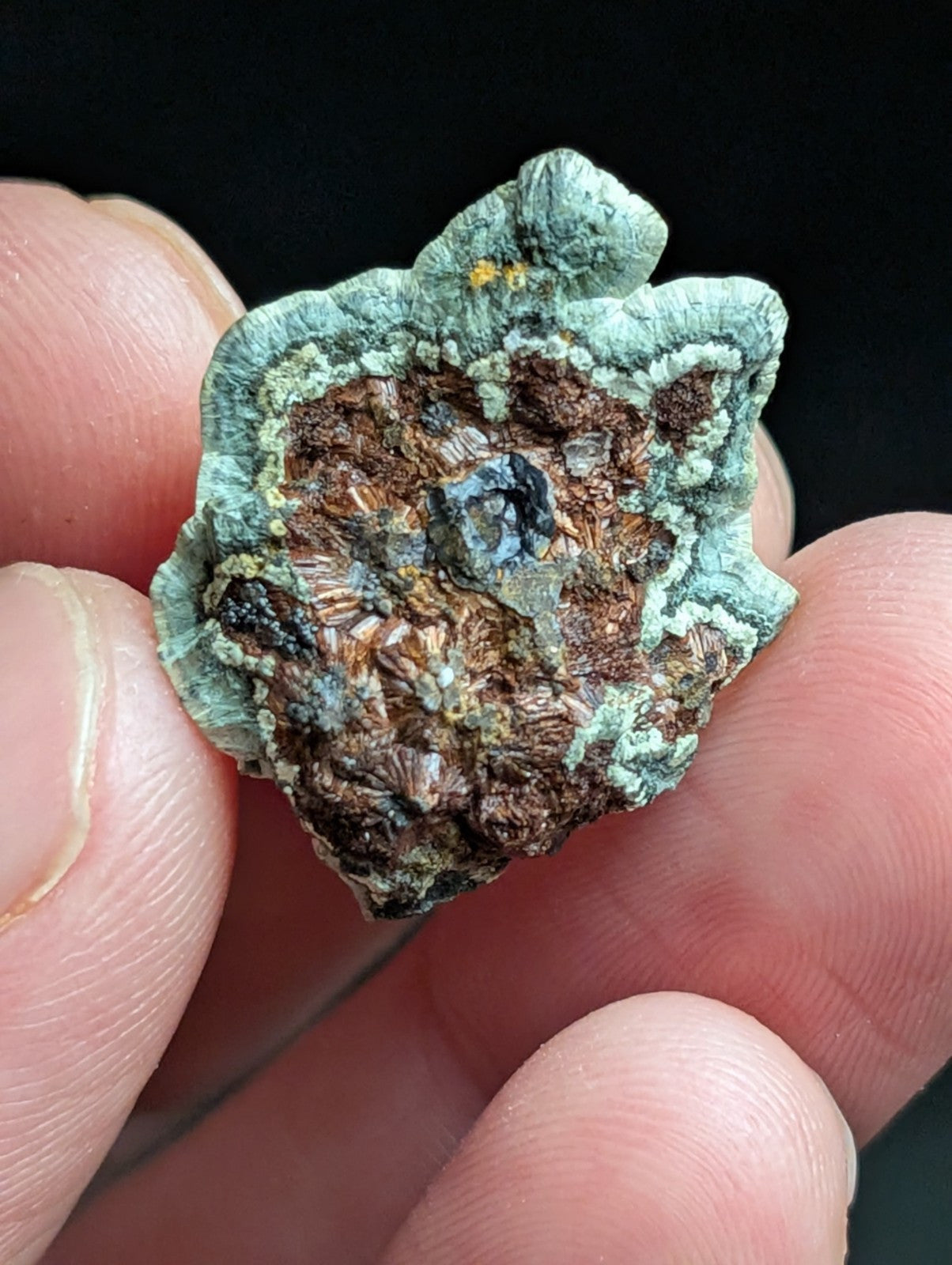 Kidwellite Dufrenite Beraunite etc (VERY RARE 3 Oaks Gap Polk Co. Arkansas) - Collectibles:Rocks Fossils &