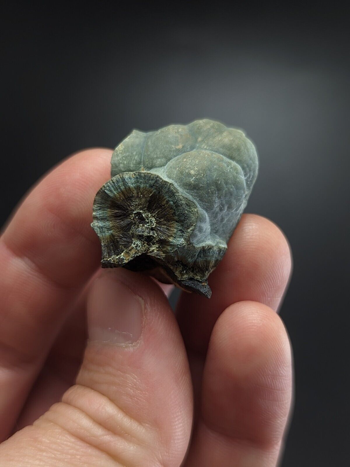 Kidwellite Dufrenite Beraunite etc (VERY RARE 3 Oaks Gap Polk Co. Arkansas) - Collectibles:Rocks Fossils &