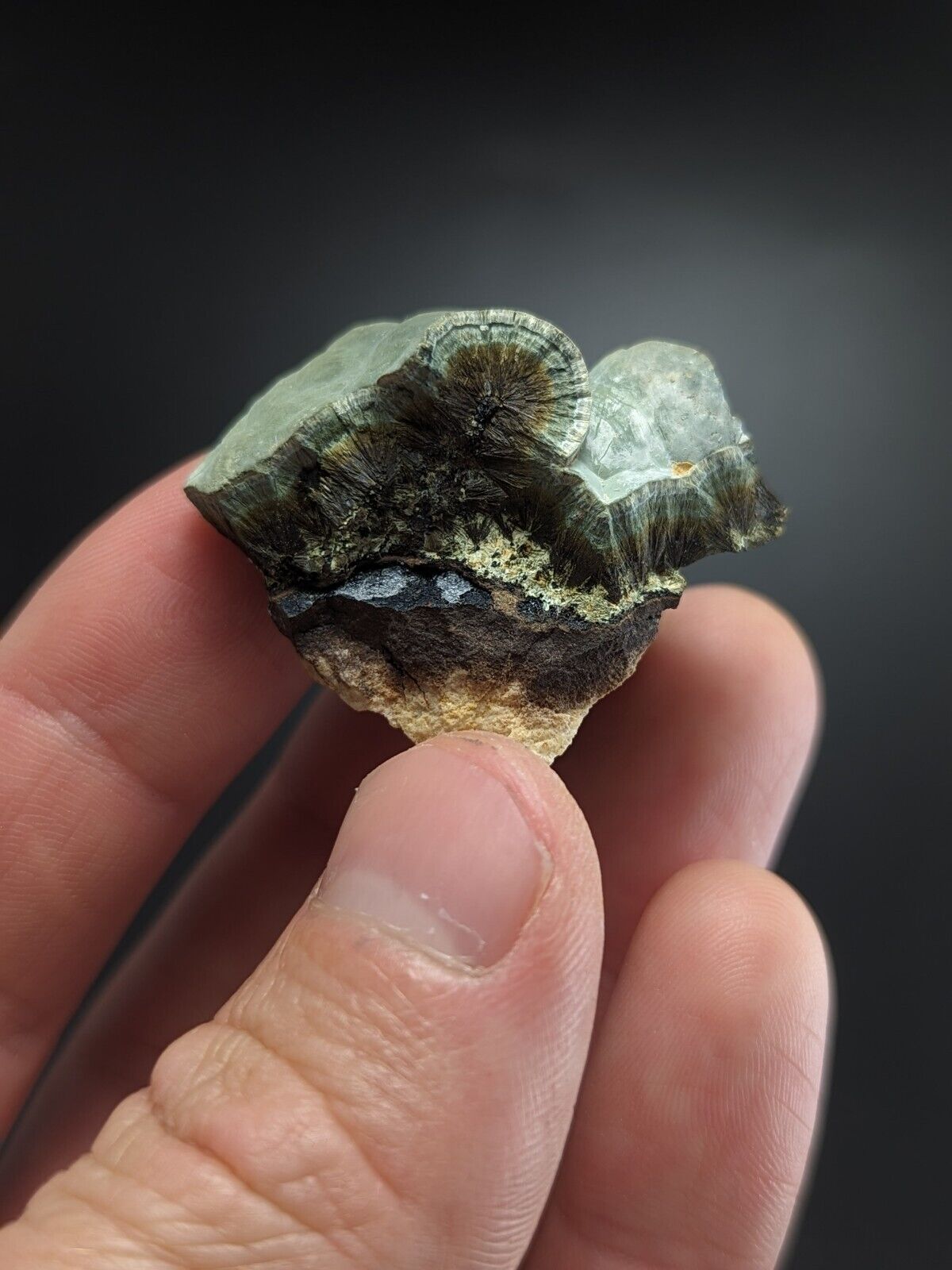 Kidwellite Dufrenite Beraunite etc (VERY RARE 3 Oaks Gap Polk Co. Arkansas) - Collectibles:Rocks Fossils &