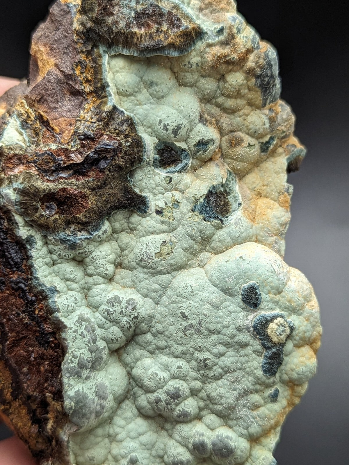A textured, light gray and brown mineral specimen with a bumpy, cauliflower-like surface.