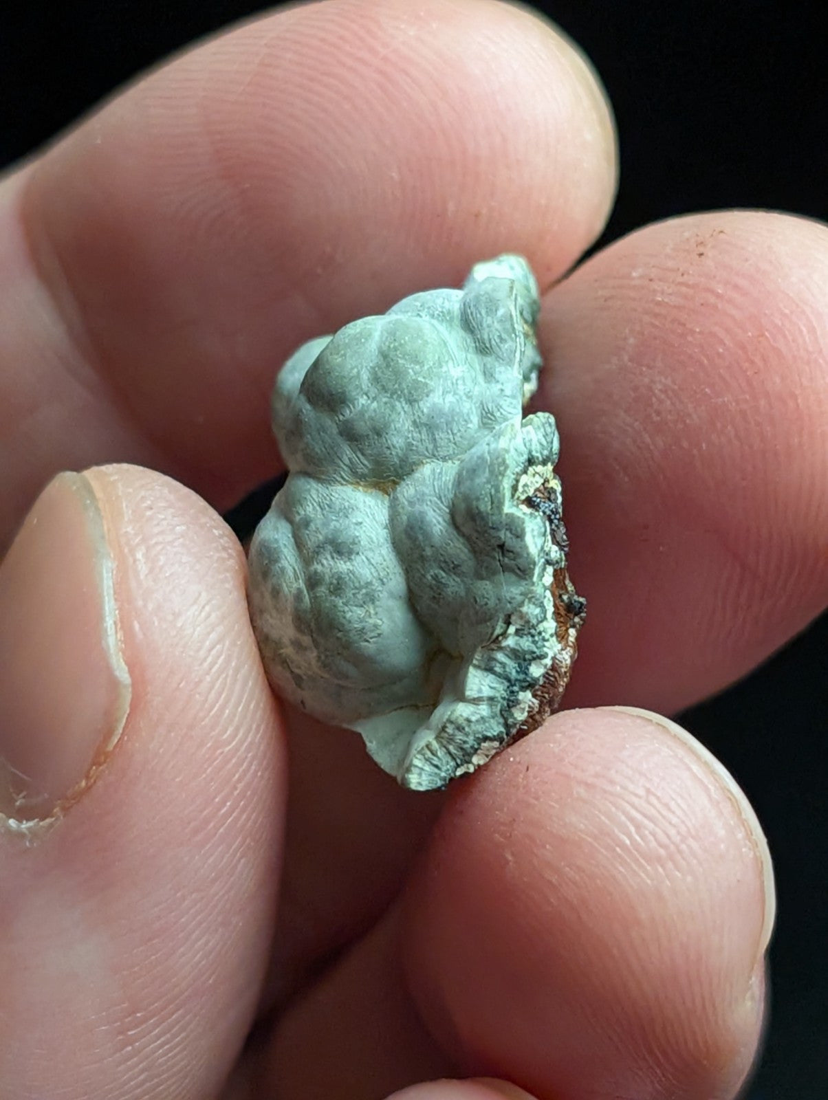 Kidwellite Dufrenite Beraunite etc (VERY RARE 3 Oaks Gap Polk Co. Arkansas) - Collectibles:Rocks Fossils &