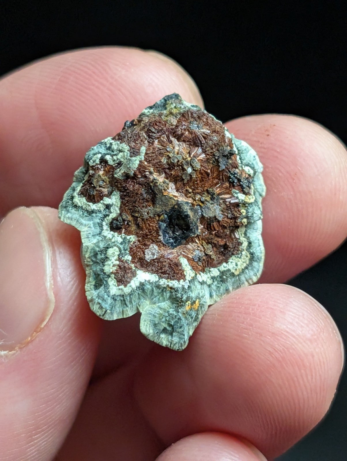 Kidwellite Dufrenite Beraunite etc (VERY RARE 3 Oaks Gap Polk Co. Arkansas) - Collectibles:Rocks Fossils &
