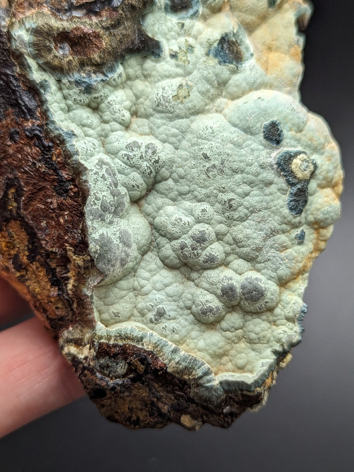 A textured, light greenish-gray lichen-covered rock fragment with a rough, uneven surface and dark brown edges.