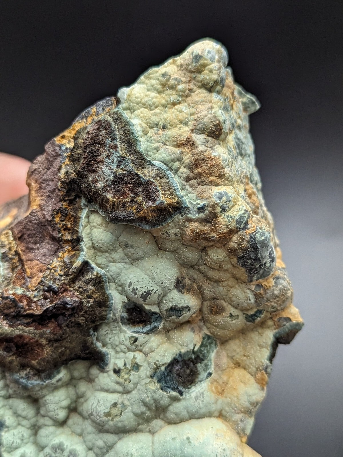 A rugged, irregularly shaped mineral specimen with a textured surface featuring patches of pale greenish-gray, dark brown, and rusty orange hues.