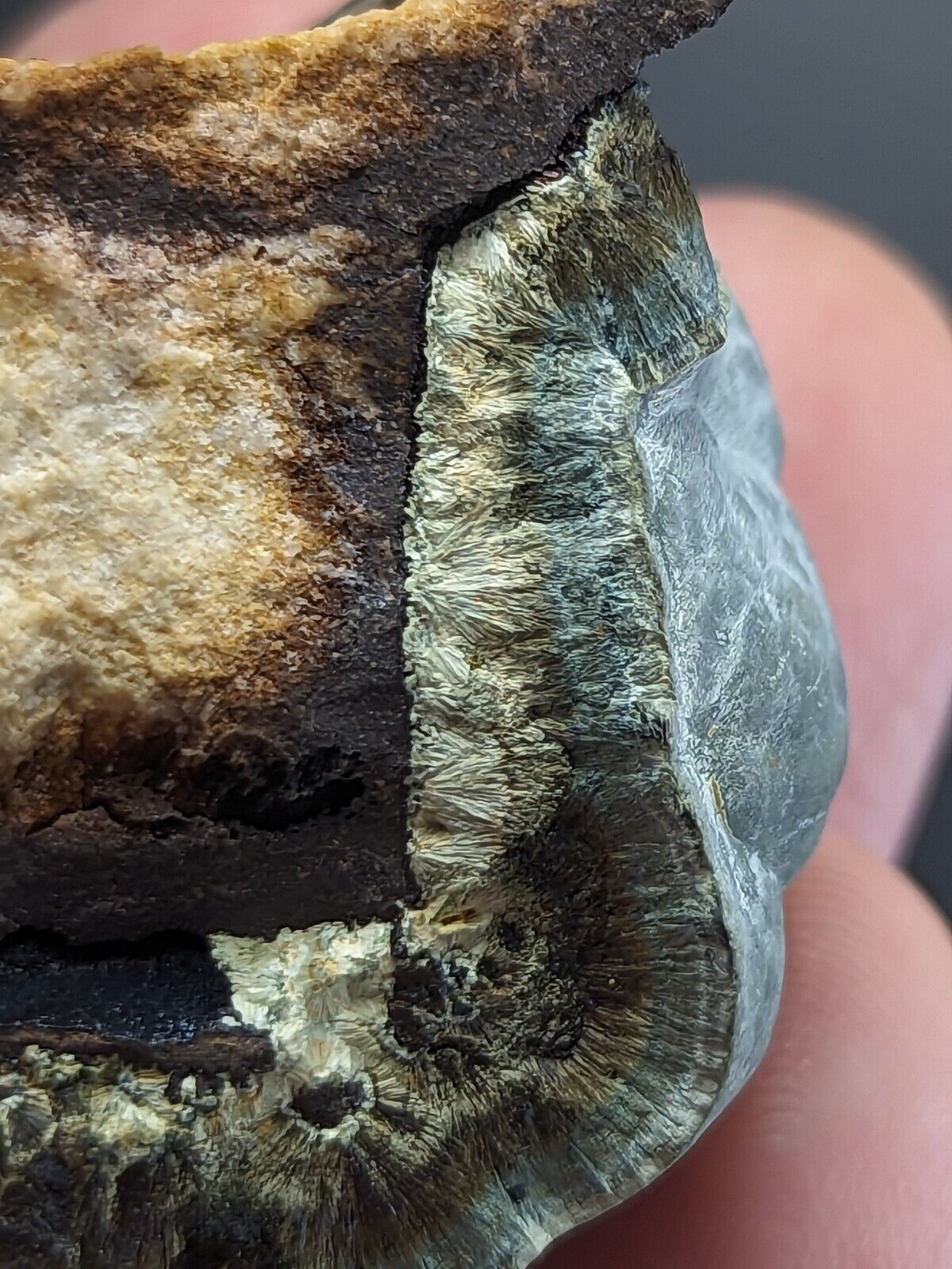 Kidwellite Dufrenite Beraunite etc (VERY RARE 3 Oaks Gap Polk Co. Arkansas) - Collectibles:Rocks Fossils &