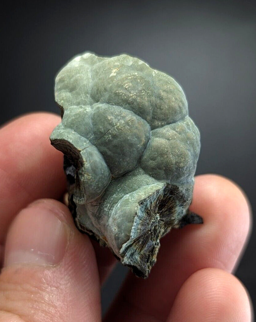 Kidwellite Dufrenite Beraunite etc (VERY RARE 3 Oaks Gap Polk Co. Arkansas) - Collectibles:Rocks Fossils &