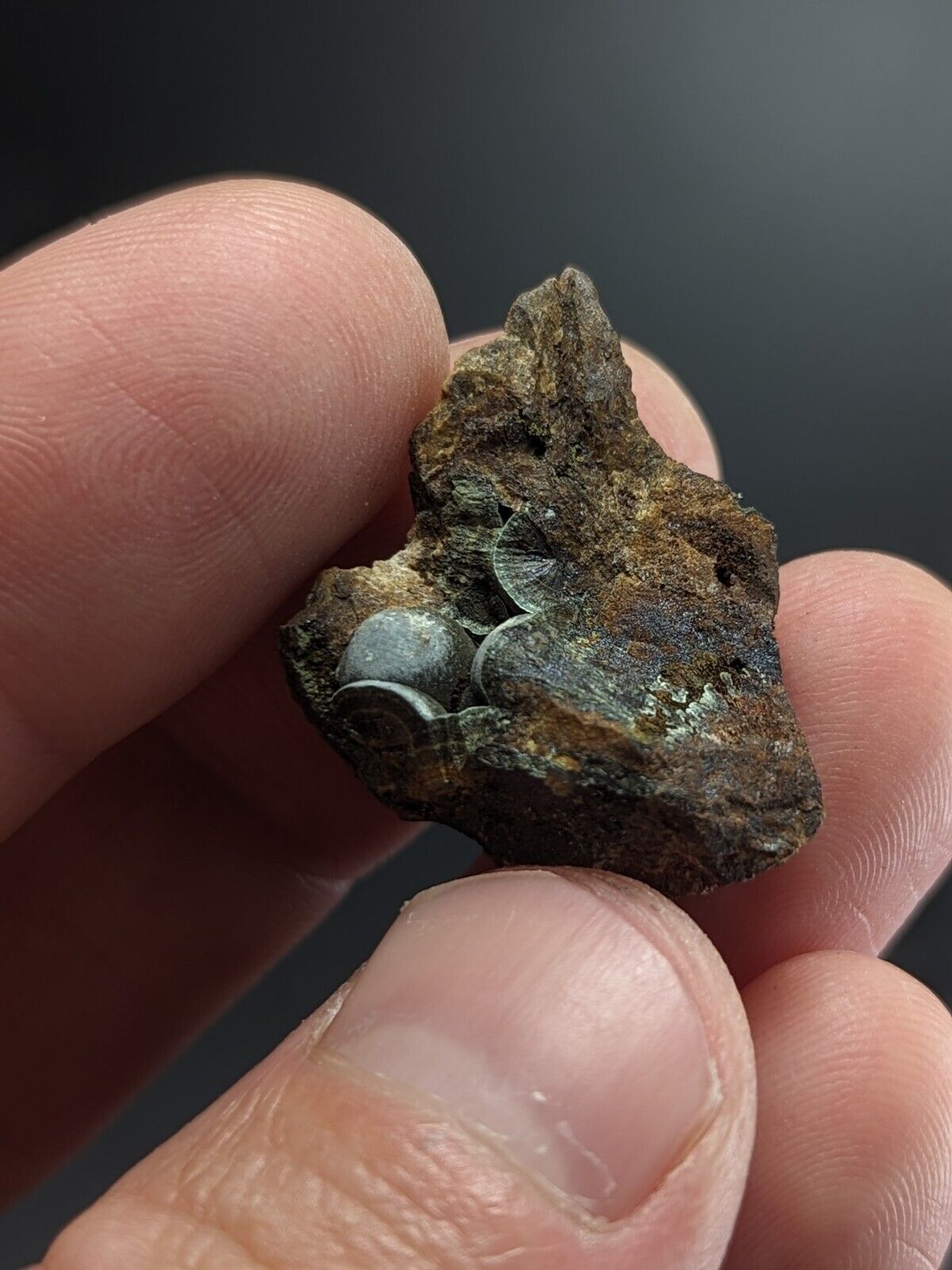 Kidwellite Dufrenite Eleonorite etc (VERY RARE 3 Oaks Gap Polk Co. Arkansas) - Collectibles:Rocks Fossils &