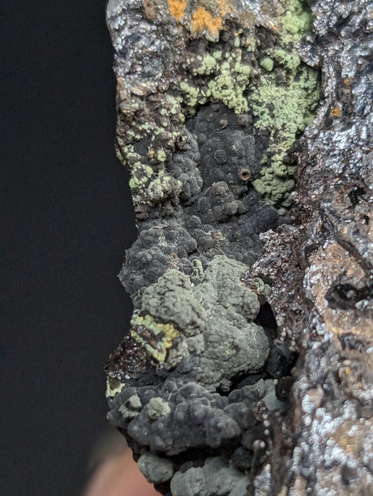 A textured rock surface covered in patches of gray, green, and orange lichen.