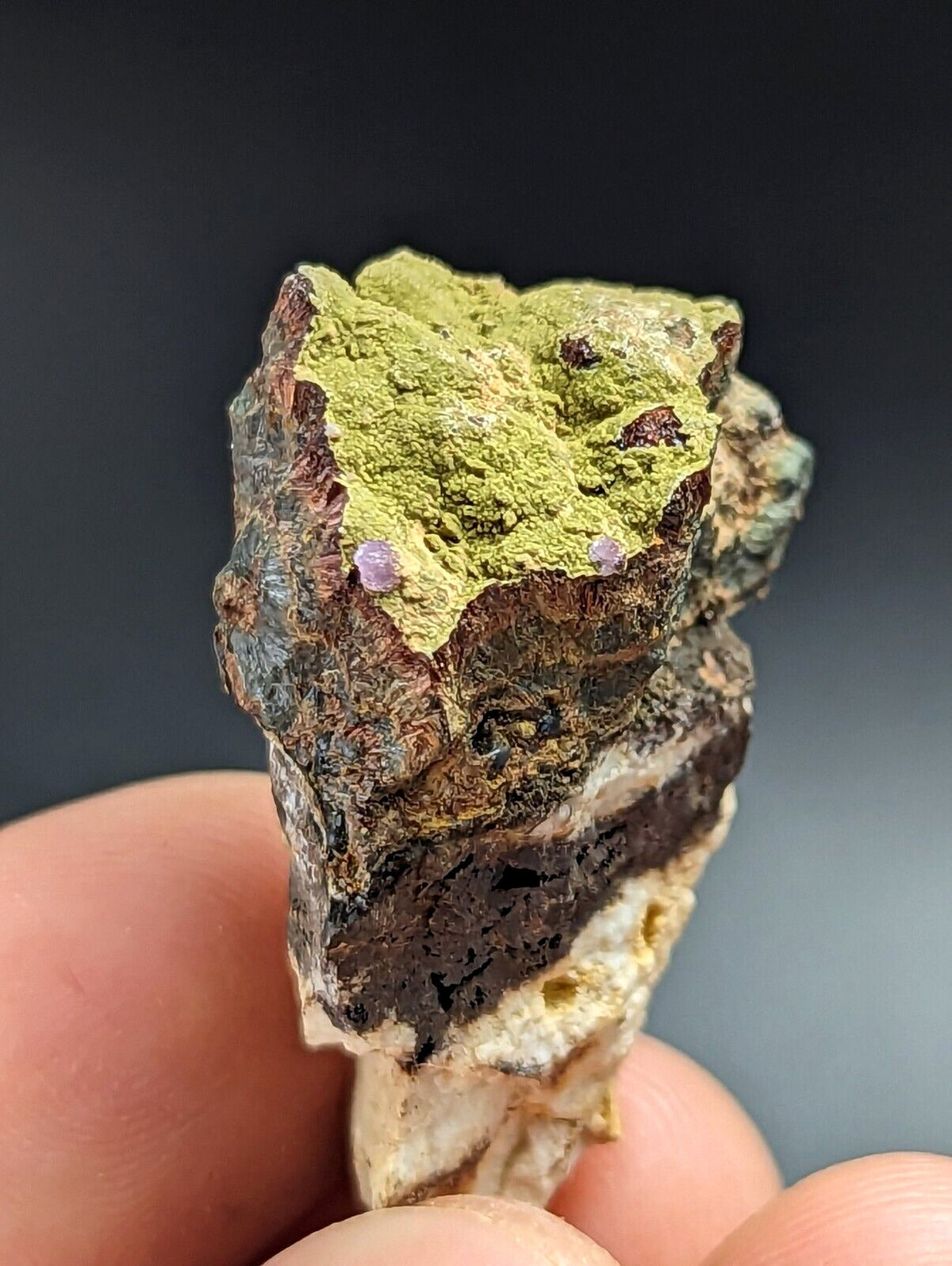 Kidwellite Strengite Eleonorite etc (VERY RARE 3 Oaks Gap Polk Co. Arkansas) - Collectibles:Rocks Fossils &