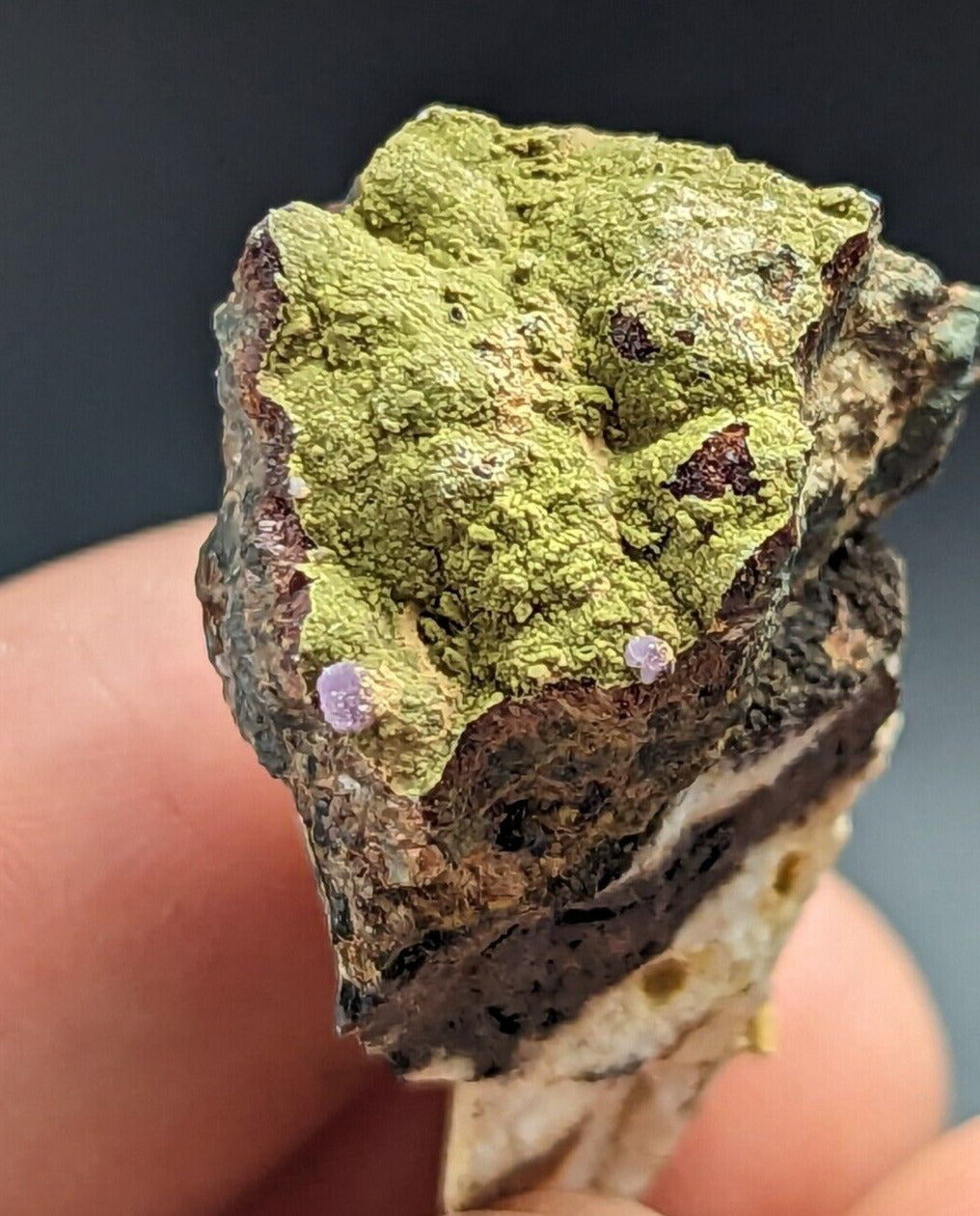 Kidwellite Strengite Eleonorite etc (VERY RARE 3 Oaks Gap Polk Co. Arkansas) - Collectibles:Rocks Fossils &