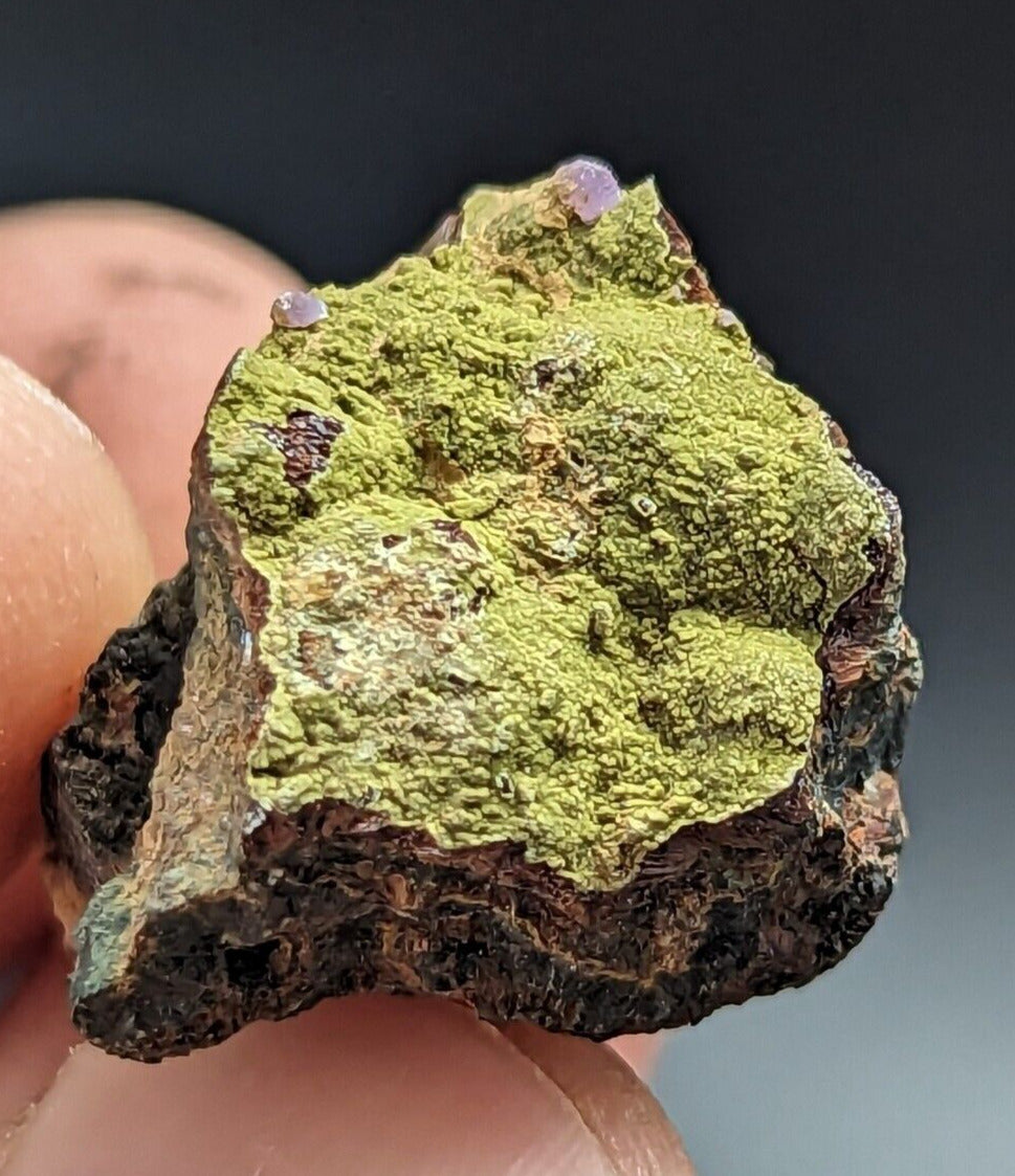 Kidwellite Strengite Eleonorite etc (VERY RARE 3 Oaks Gap Polk Co. Arkansas) - Collectibles:Rocks Fossils &