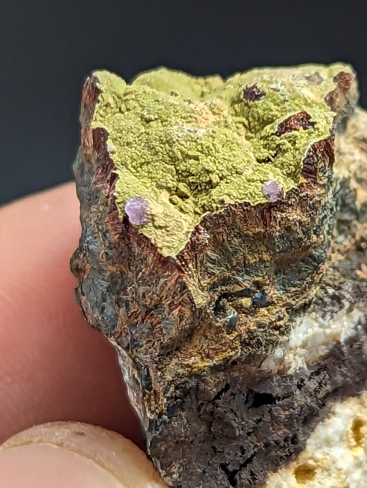 Kidwellite Strengite Eleonorite etc (VERY RARE 3 Oaks Gap Polk Co. Arkansas) - Collectibles:Rocks Fossils &