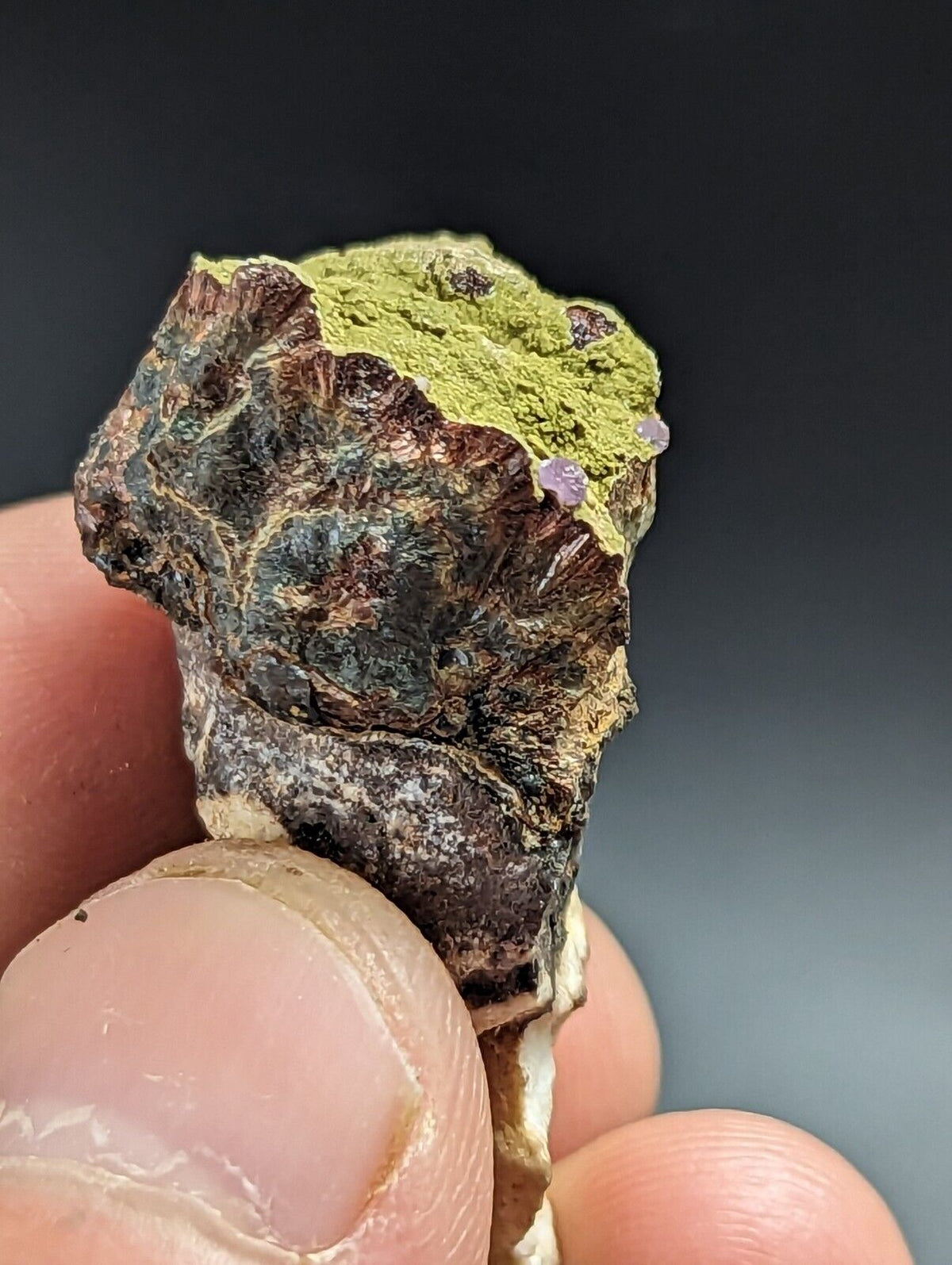 Kidwellite Strengite Eleonorite etc (VERY RARE 3 Oaks Gap Polk Co. Arkansas) - Collectibles:Rocks Fossils &
