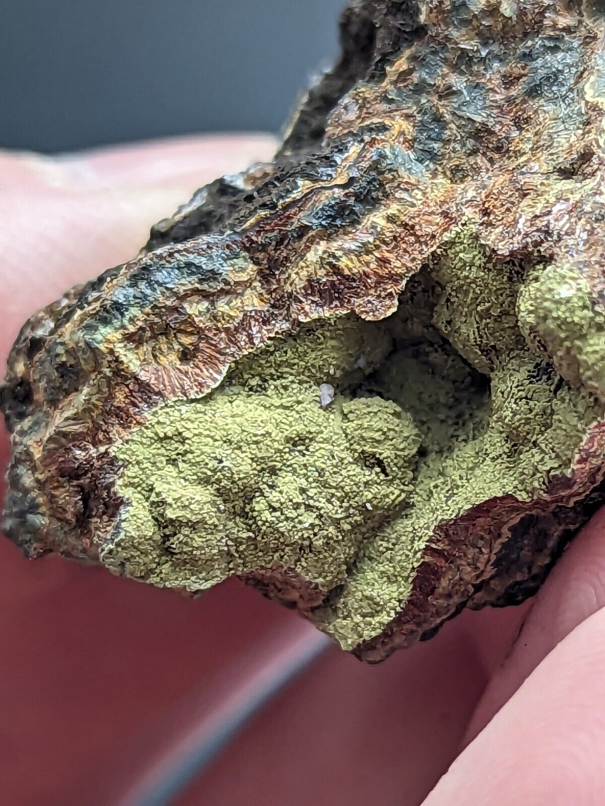 Kidwellite Strengite Eleonorite etc (VERY RARE 3 Oaks Gap Polk Co. Arkansas) - Collectibles:Rocks Fossils &