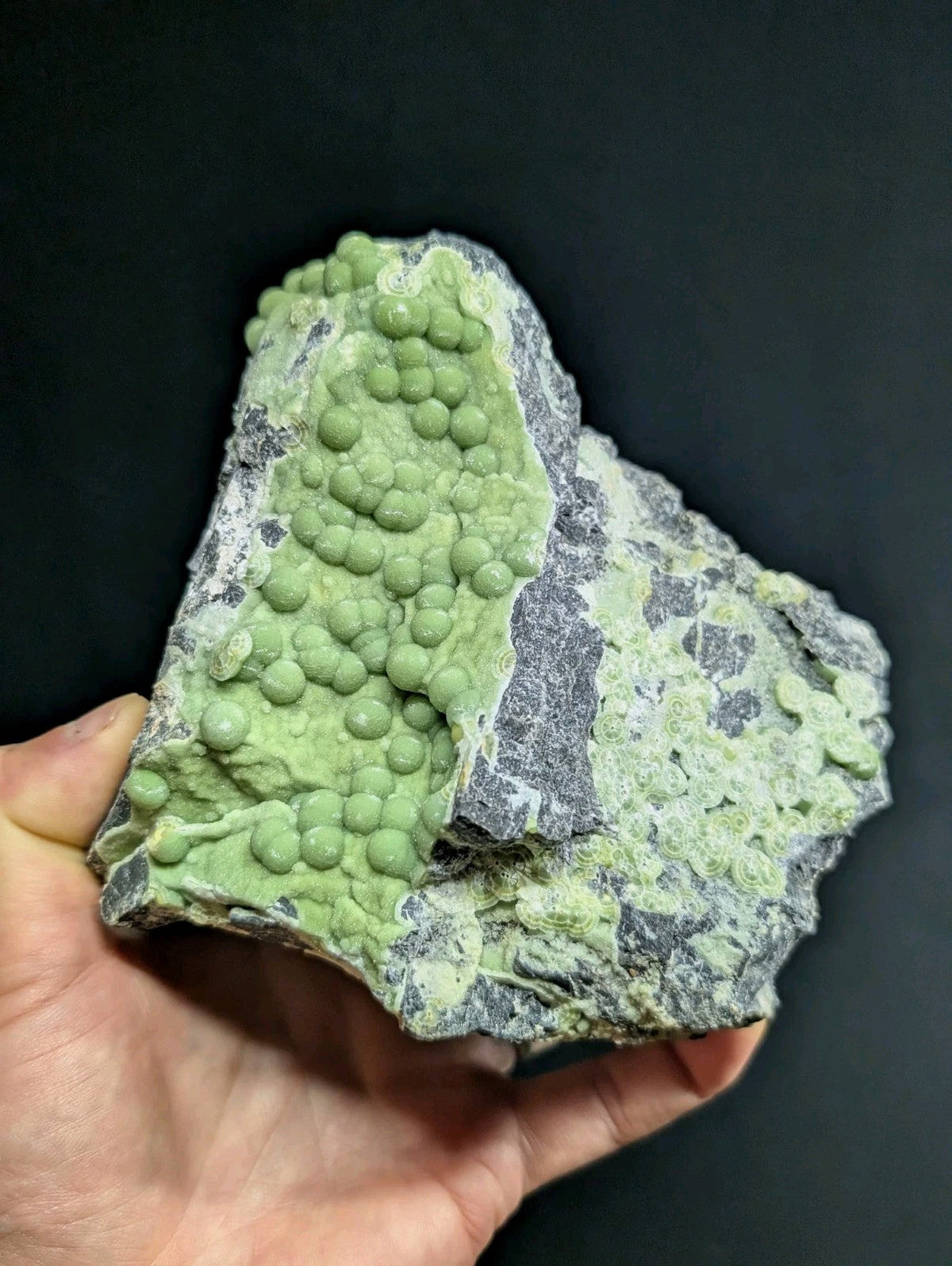 A hand holds a striking green mineral specimen featuring numerous rounded, bulbous formations clustered on its surface against a dark gray rock base.