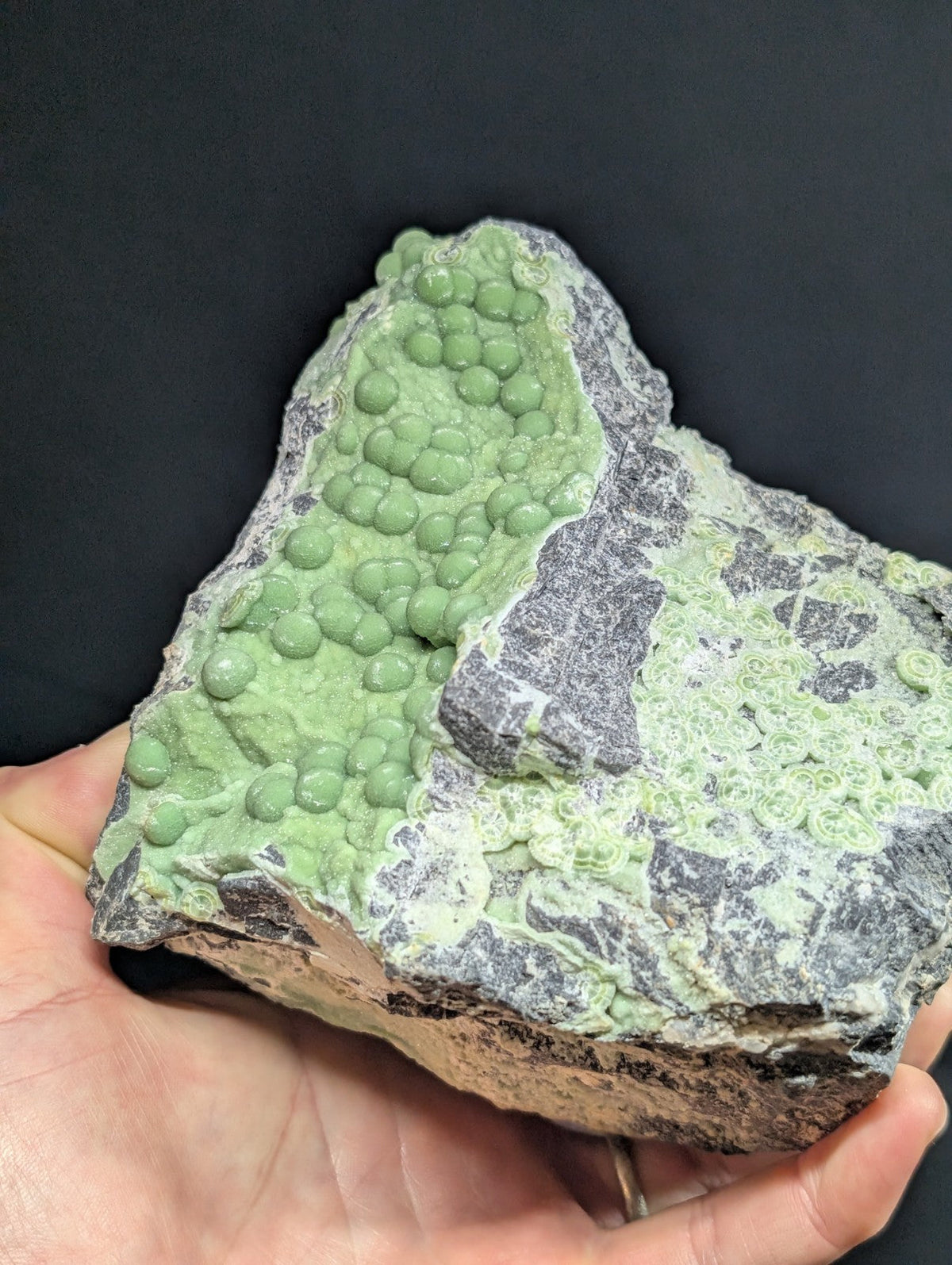 A hand holds a geological specimen featuring clusters of vibrant green, spherical formations growing on a rough-textured gray rock matrix.