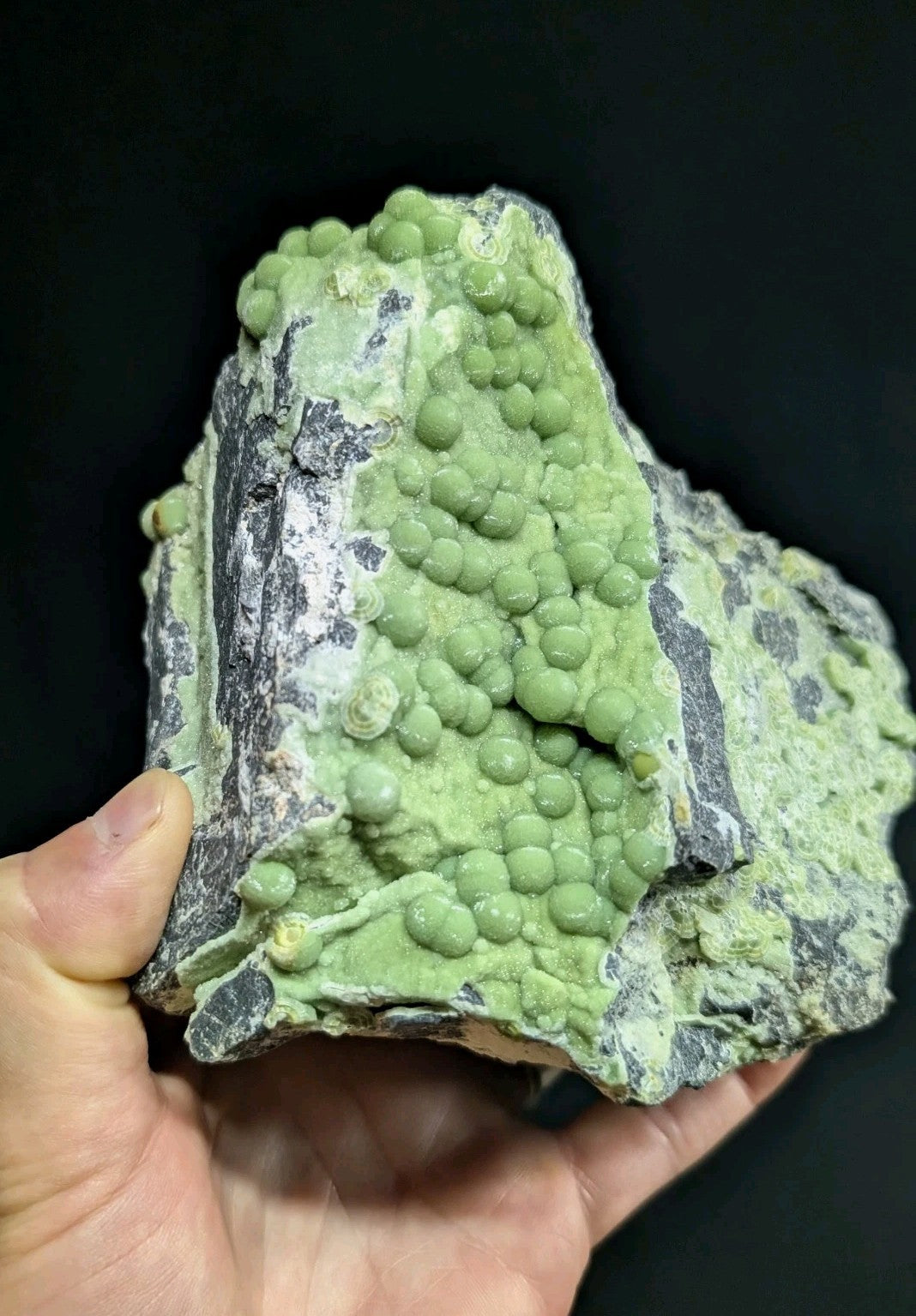 A hand holds a rough, irregularly shaped rock specimen featuring clusters of small, rounded green nodules growing on its surface against darker gray and white mineralized areas.