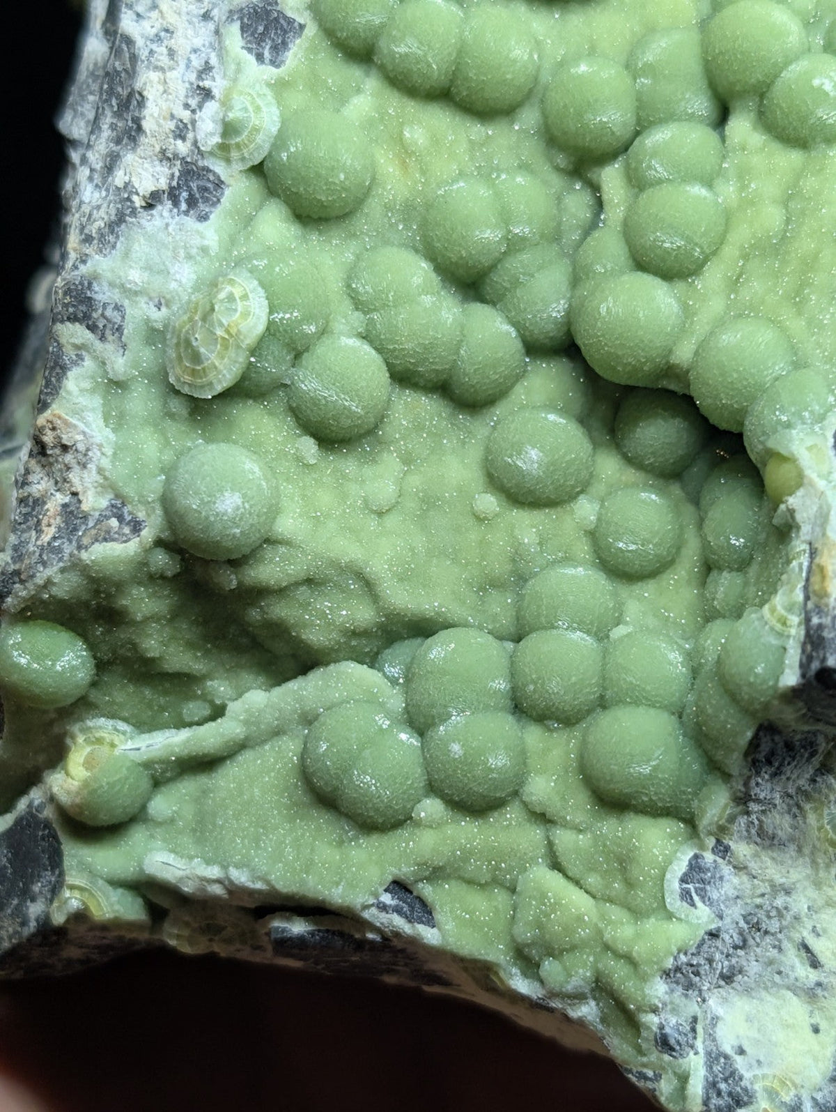 A cluster of vibrant green, spherical mineral formations growing on a rough-textured rock surface.