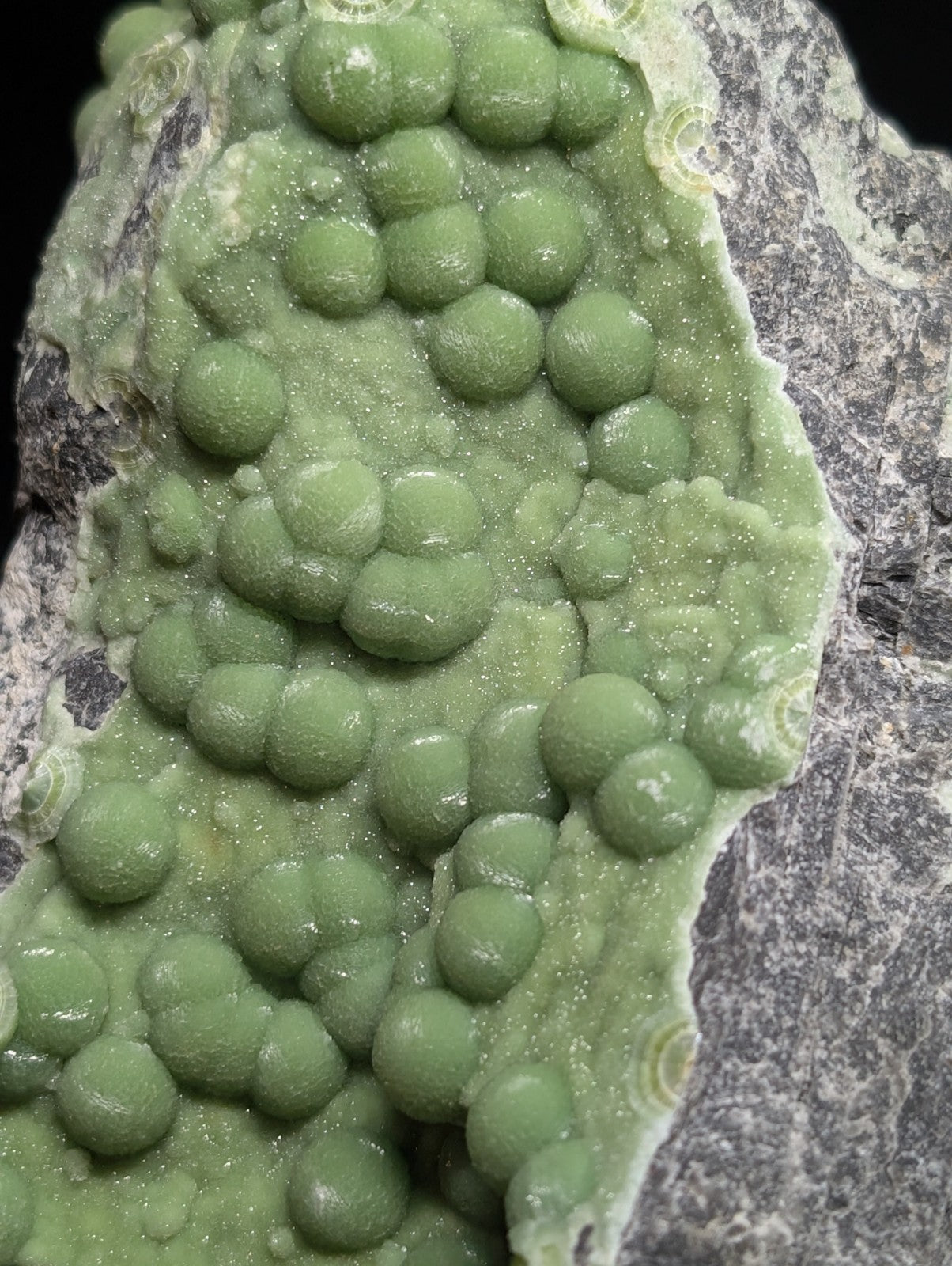A cluster of vibrant green, spherical mineral formations growing on a textured gray rock surface.