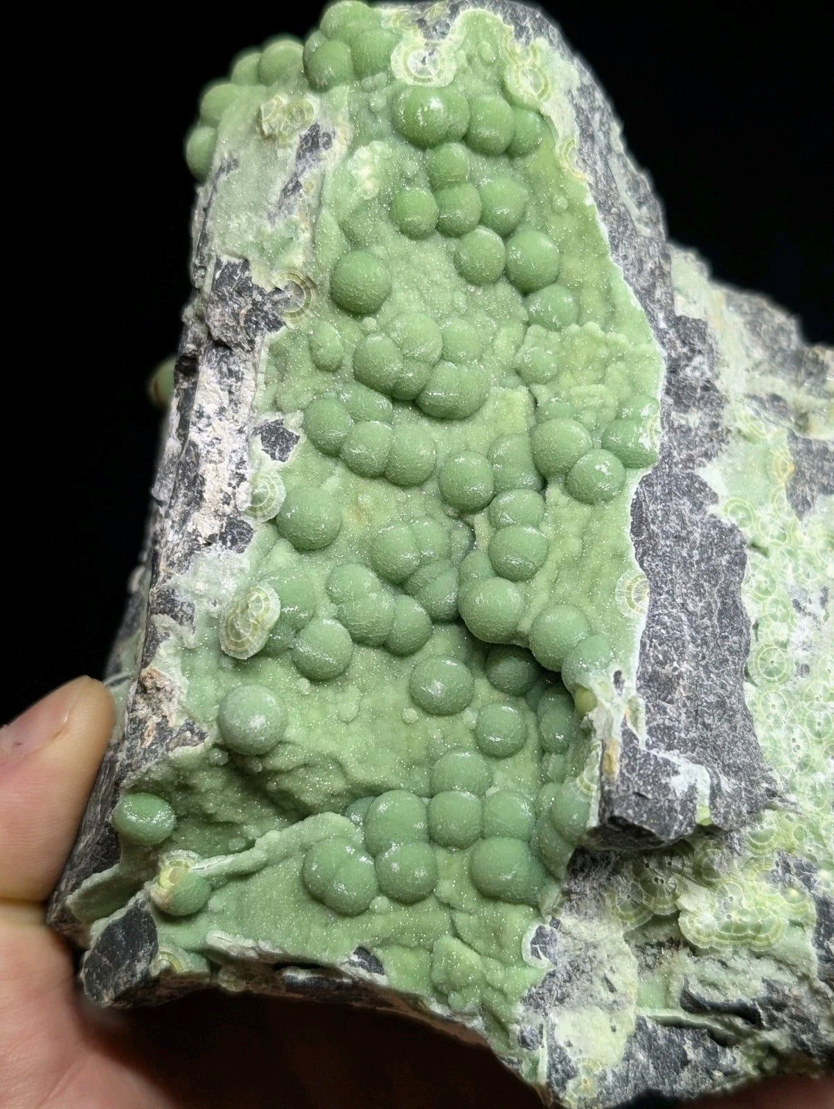 A green, spherical mineral formation growing on a gray rock matrix.
