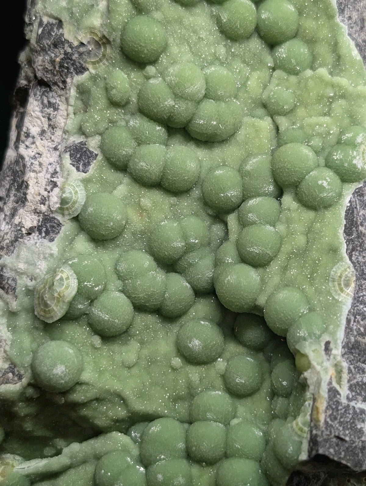 A cluster of vibrant green, spherical mineral formations with a glossy surface and subtle crystalline texture.
