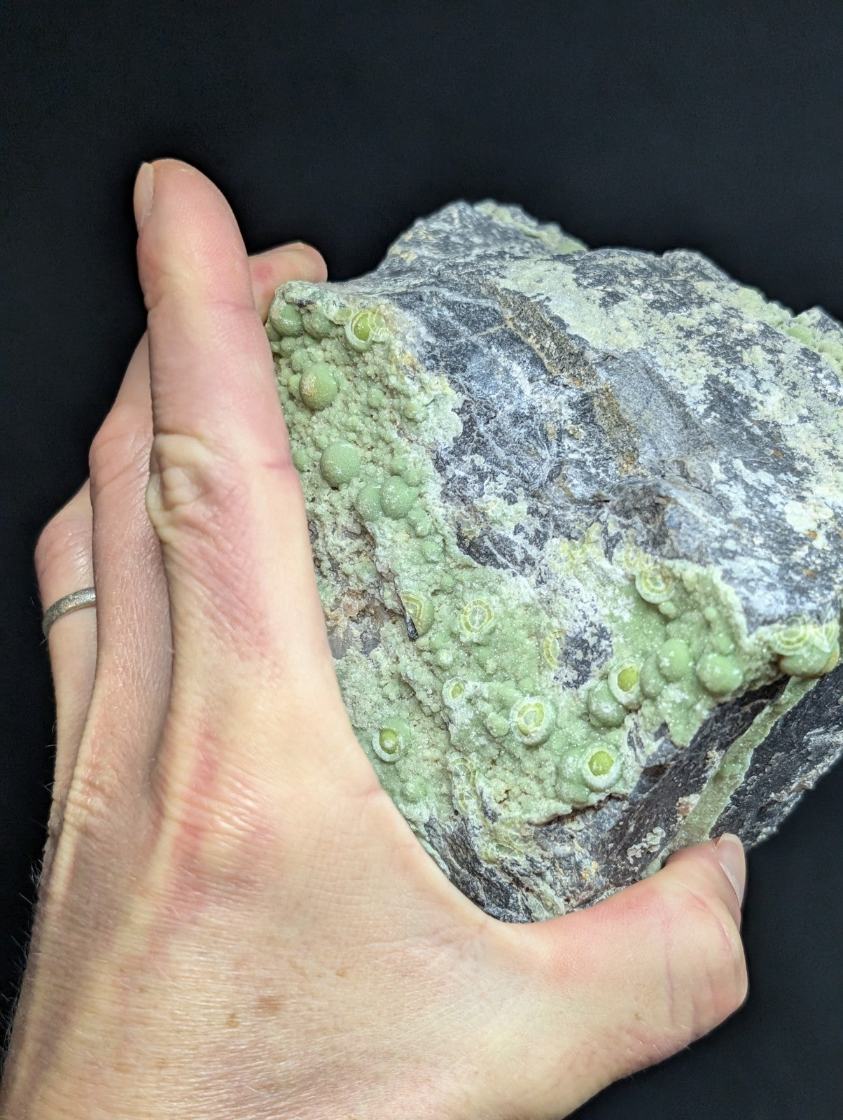A hand holds a gray rock specimen adorned with clusters of light green, rounded mineral formations.
