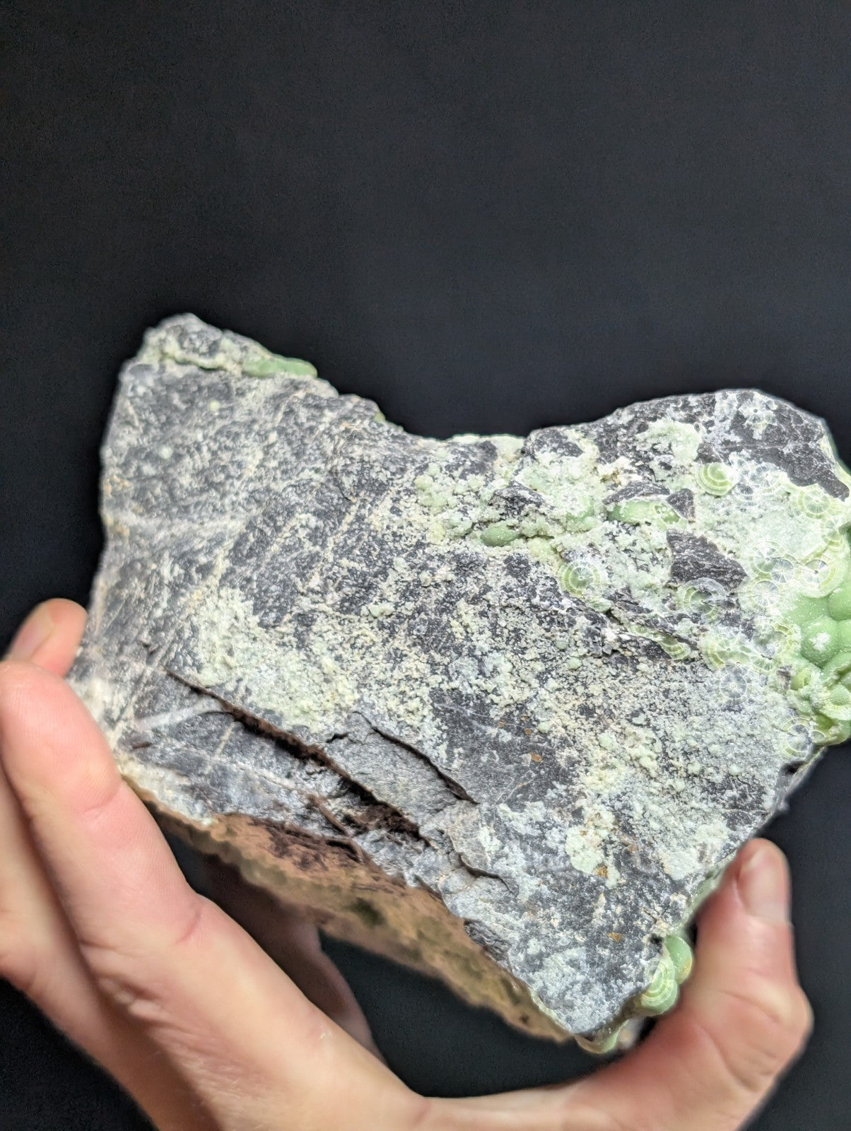 A hand holds a rough, irregularly shaped rock with dark gray and white speckled texture, featuring patches of light green mineral growths.