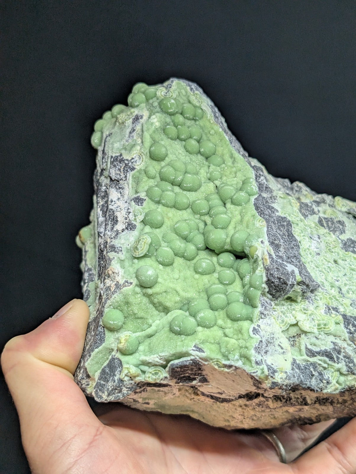 A hand holds a geological specimen featuring clusters of vibrant green, spherical formations growing from a rough-textured gray and brown rock matrix.