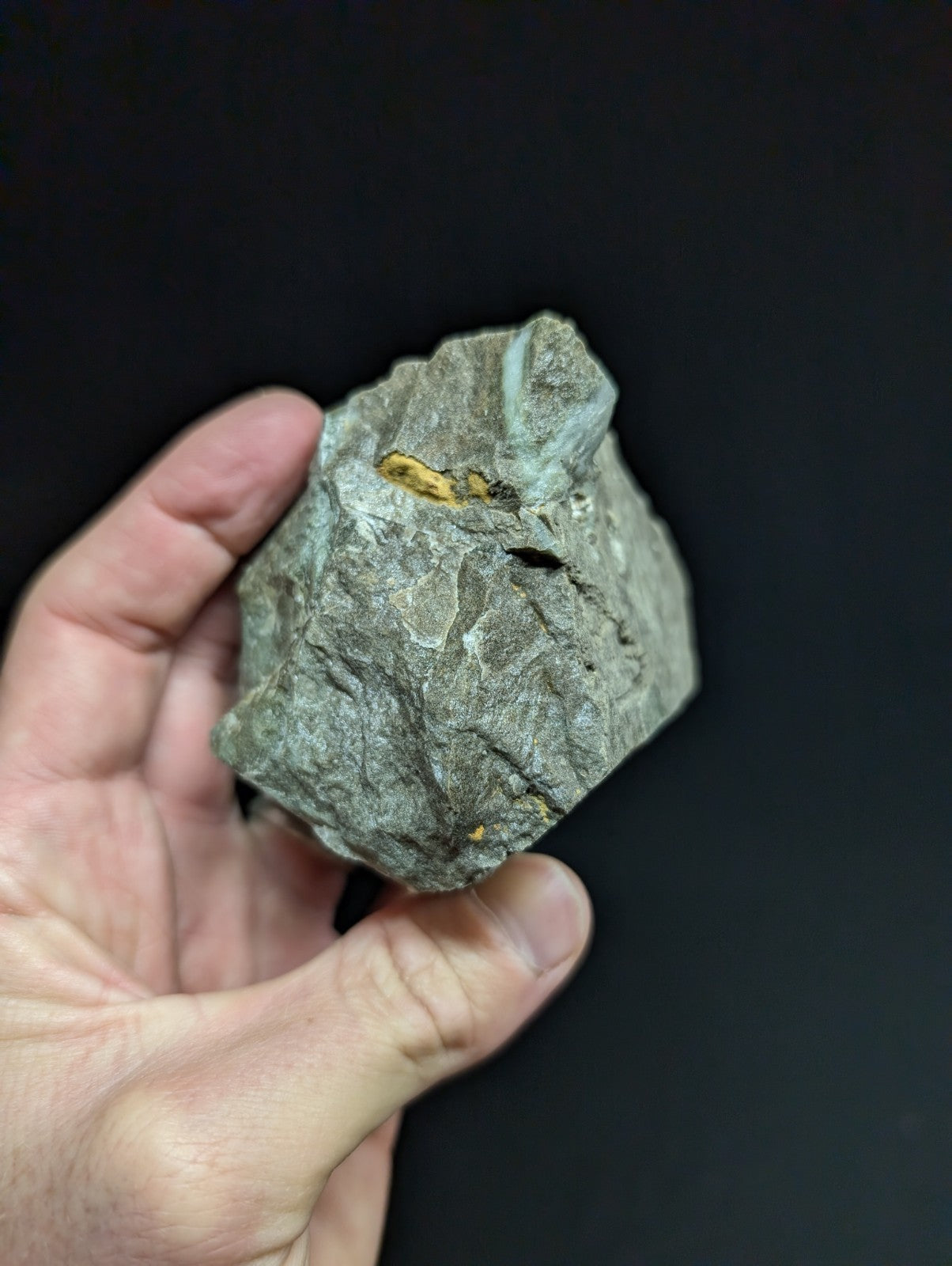A rough, gray rock with a small patch of yellowish gold embedded in its surface.