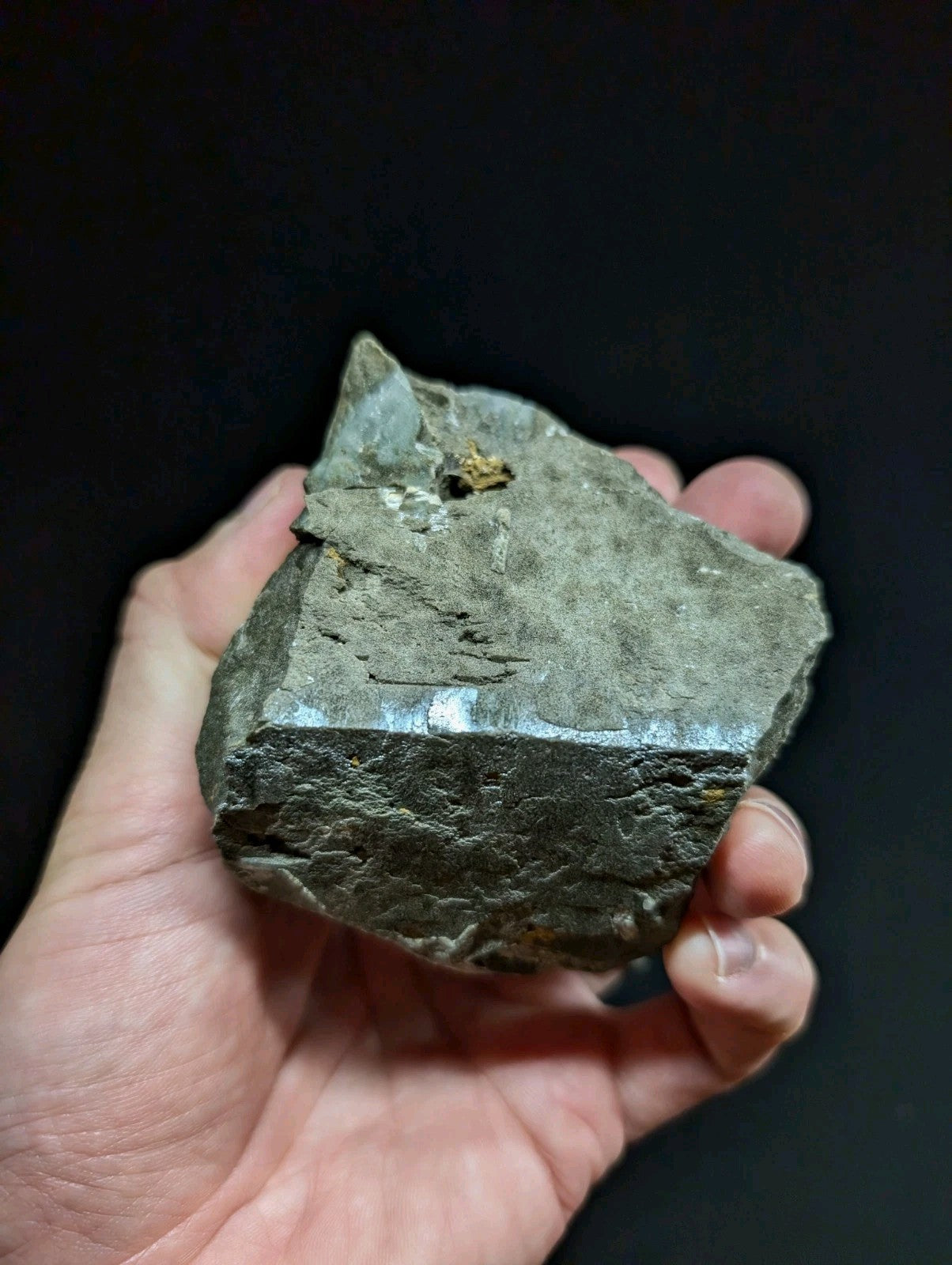 A rough, dark gray rock with a metallic sheen and small golden flecks embedded in its surface.