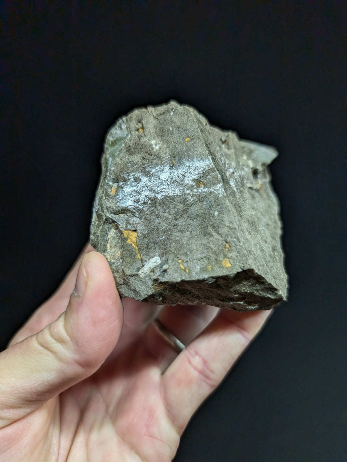 A rough, irregularly shaped gray rock with patches of metallic sheen and small golden flecks.