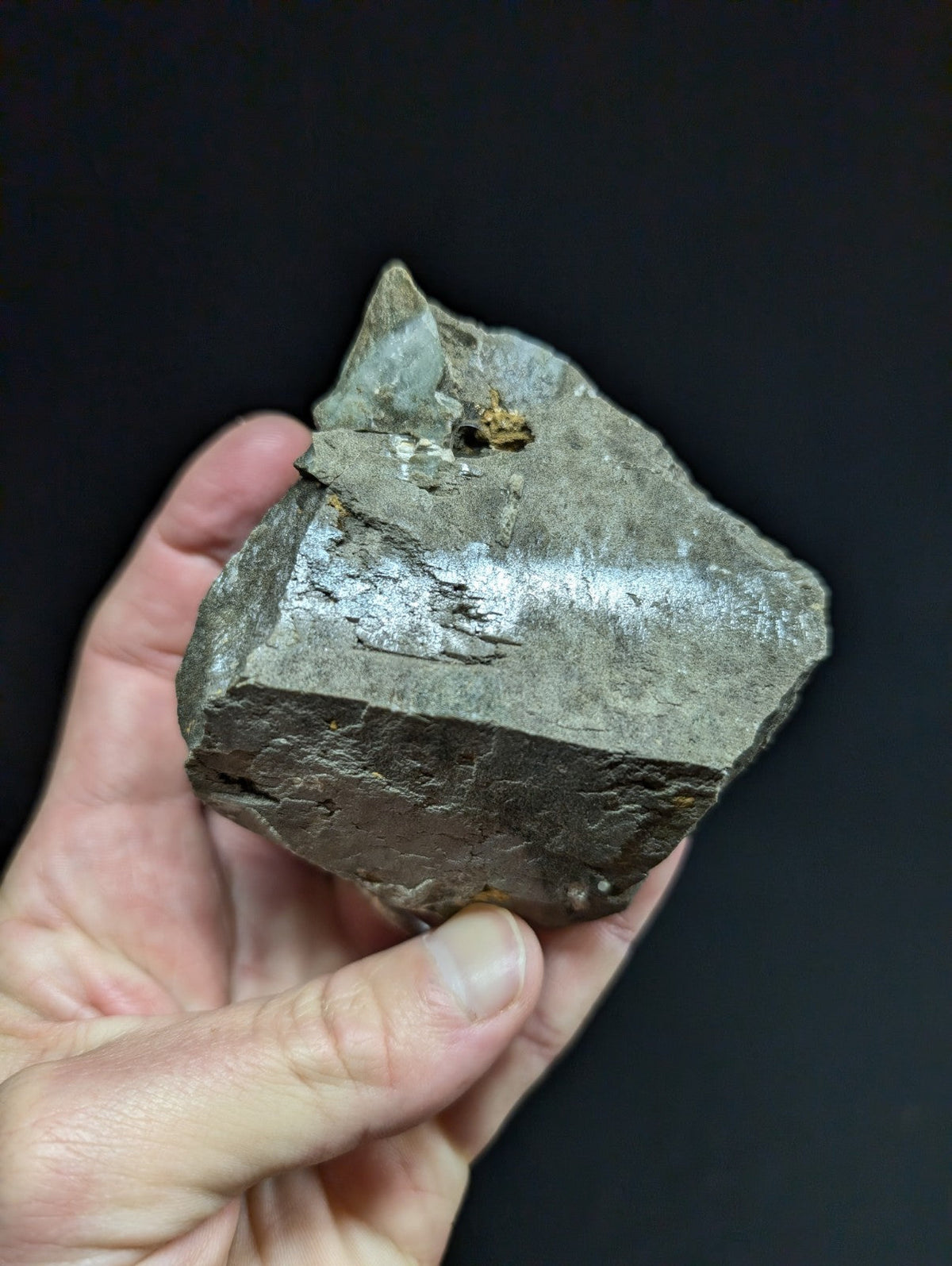A rough, irregularly shaped gray rock with a metallic sheen and small golden inclusions.