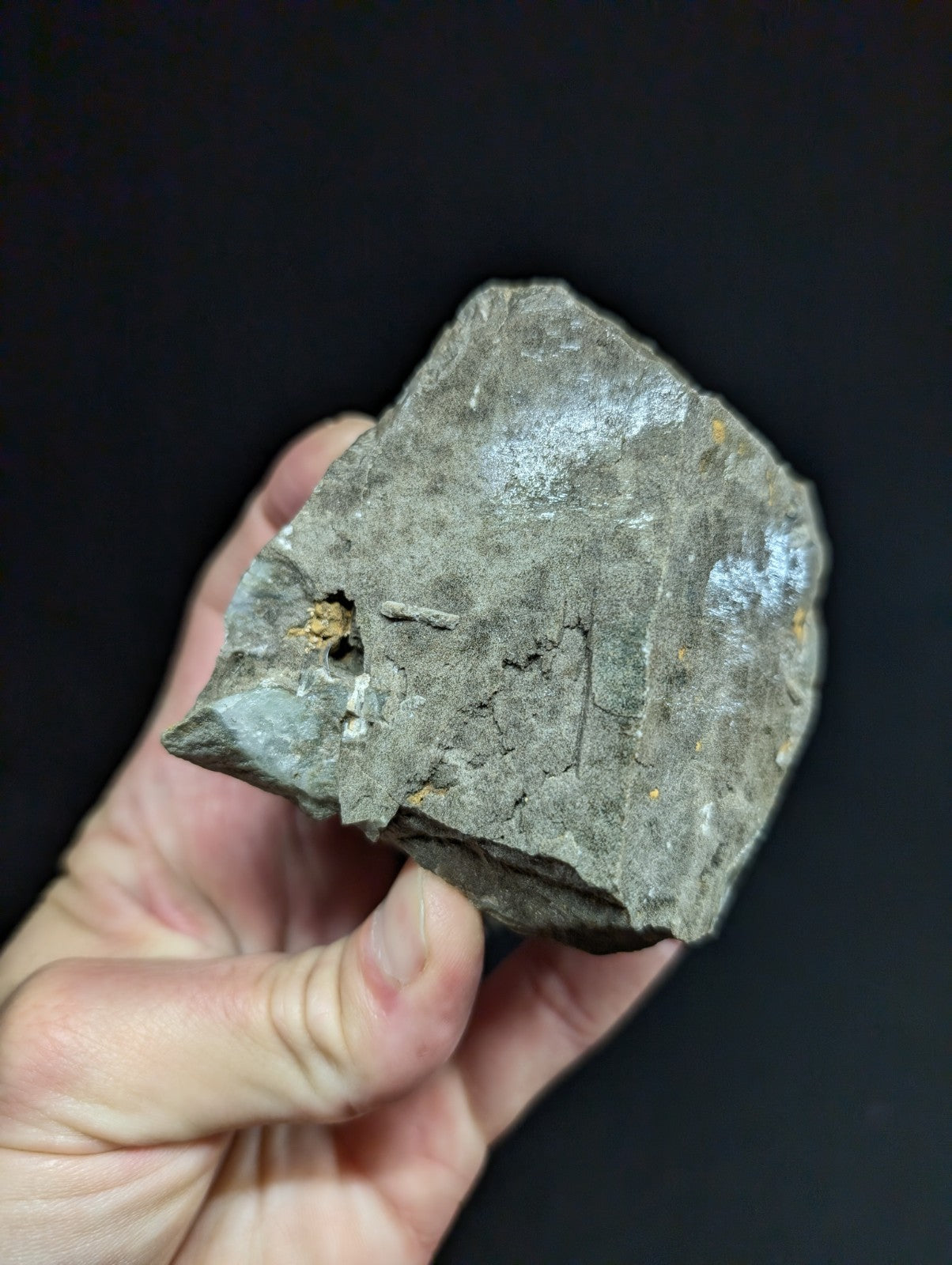 A rough, irregularly shaped gray rock with a slightly shiny surface and small patches of lighter coloration.