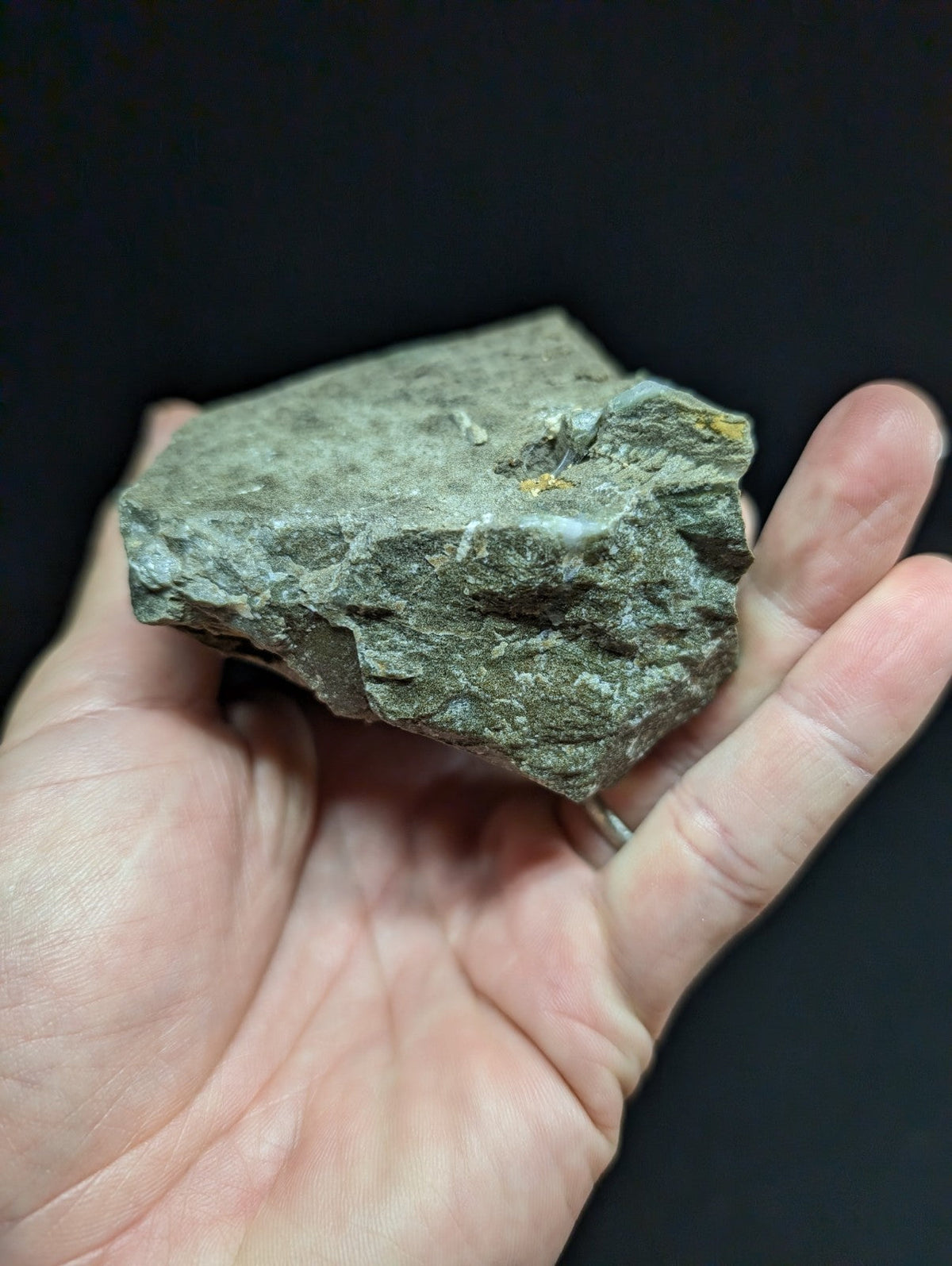 A rough, irregularly shaped gray rock with subtle greenish undertones and small patches of yellow mineral streaks.