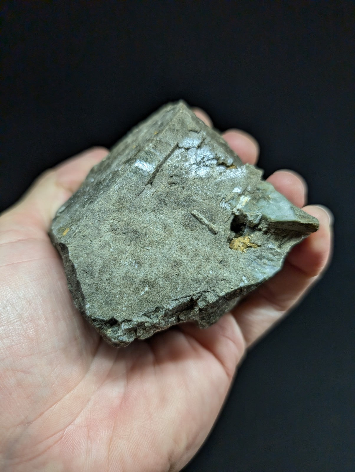 A rough, grayish-green mineral specimen with a slightly shiny surface and small golden inclusions.