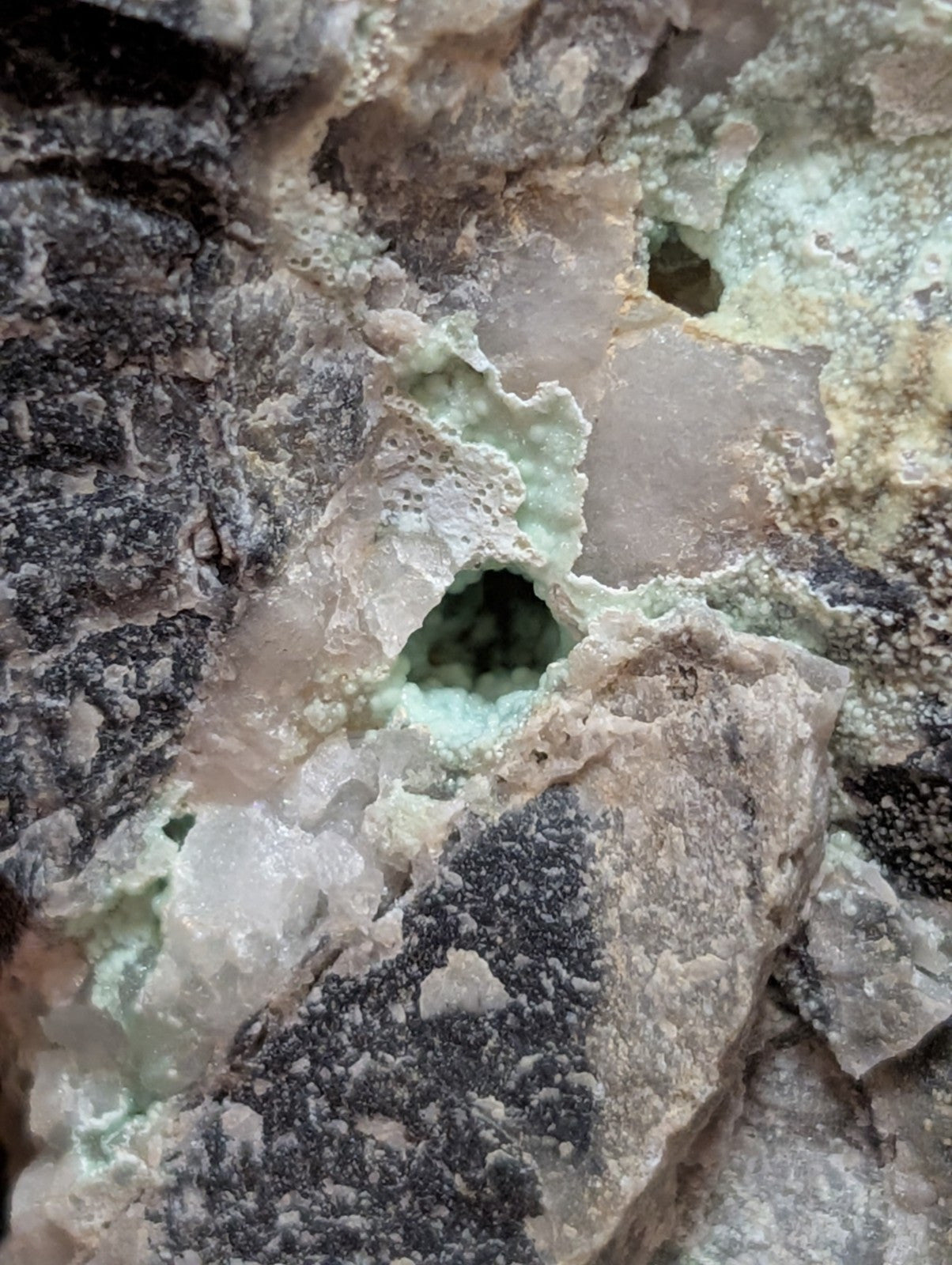 A textured mineral specimen featuring a mix of dark gray, light beige, and pale green crystalline formations with small hollow cavities.