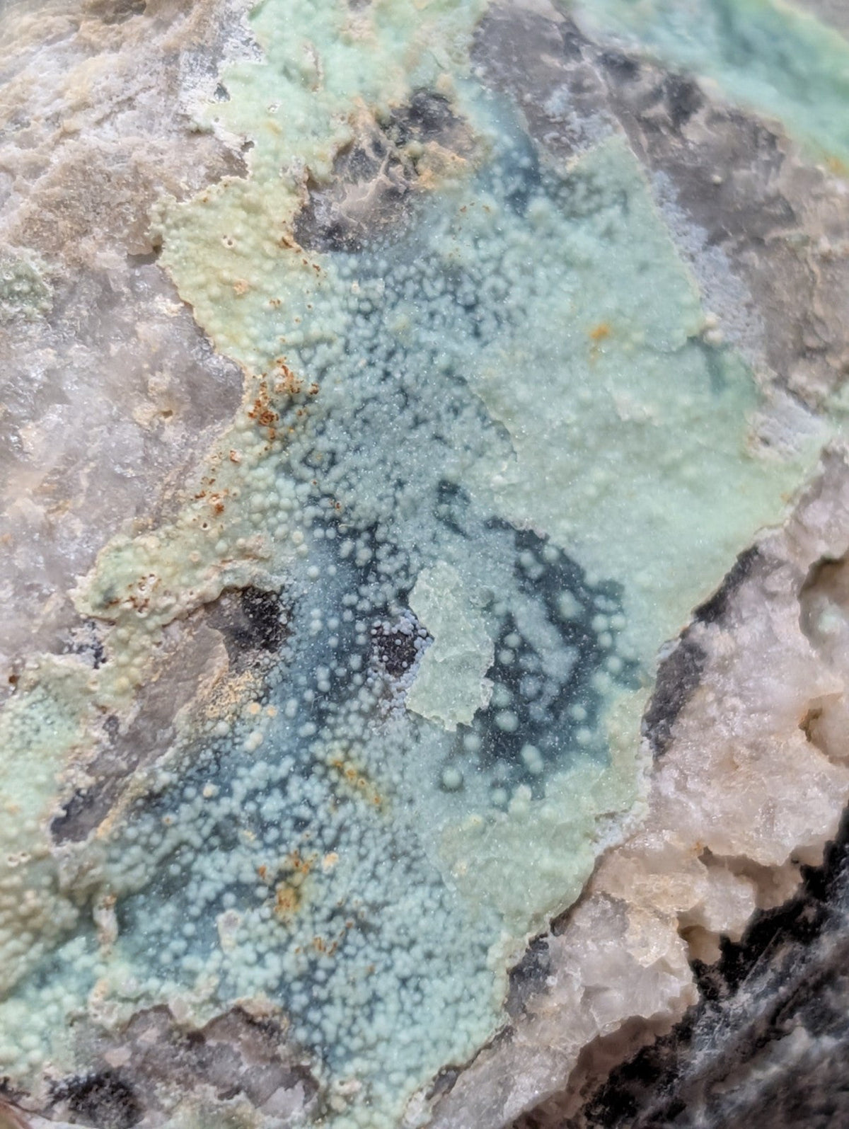 A textured mineral specimen featuring a patchwork of pale green and blue-green hues with speckled patterns, set against a rougher grayish-white rock matrix.