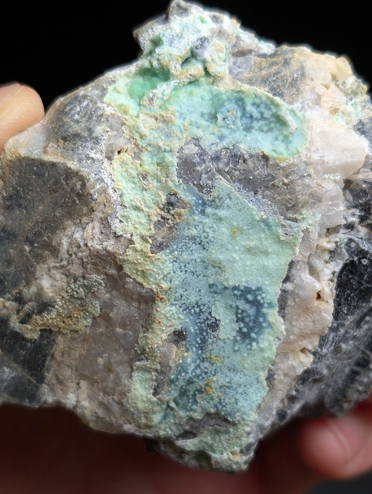 A rugged, irregularly shaped rock specimen featuring patches of vibrant turquoise and deep blue mineral deposits over a base of gray and white stone.