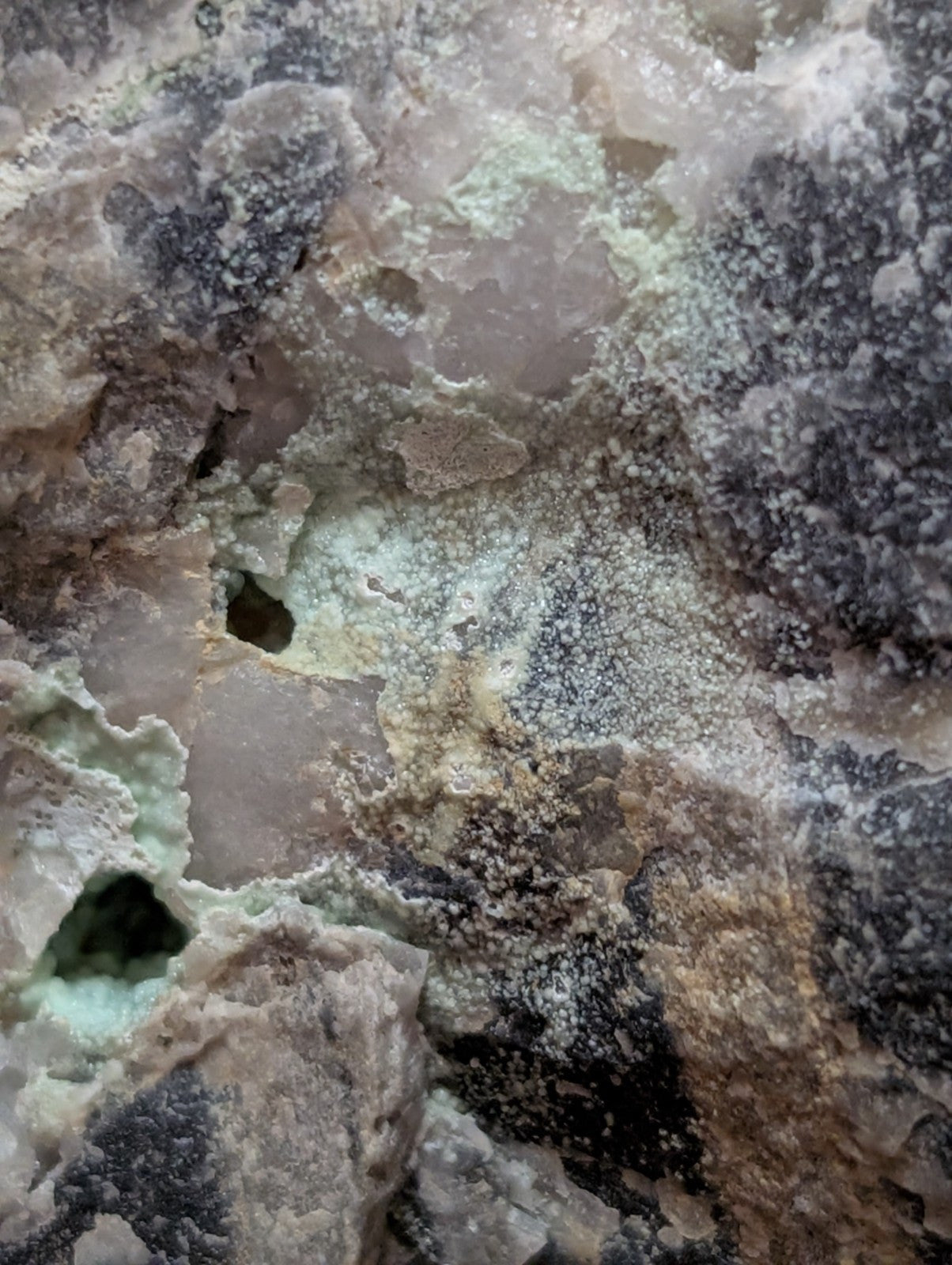 A textured rock surface with patches of green and black mold growing over a pale, crystalline base.