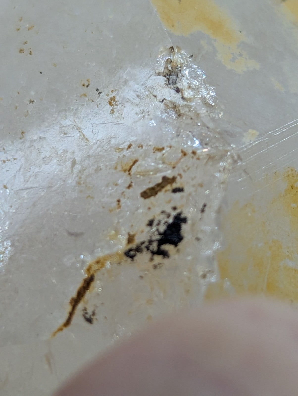 A cracked, translucent plastic container with visible stains and residue.