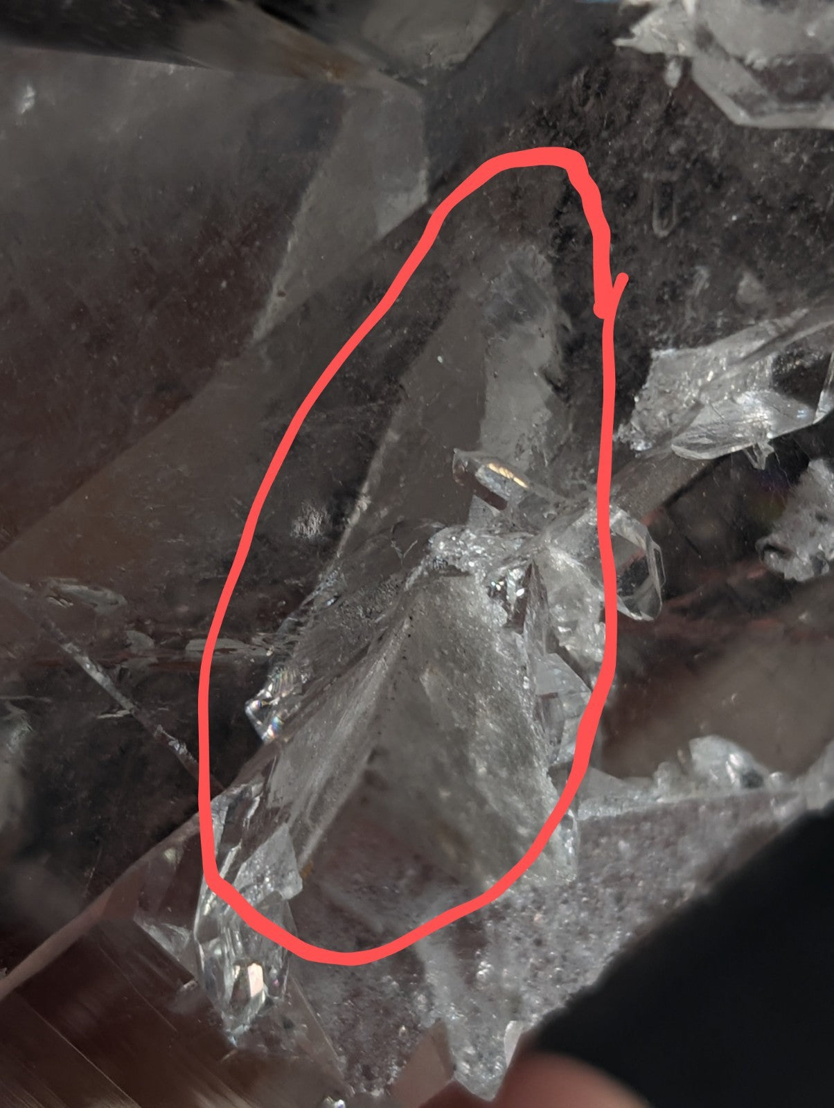 A translucent, jagged crystal fragment with a clear and reflective surface.