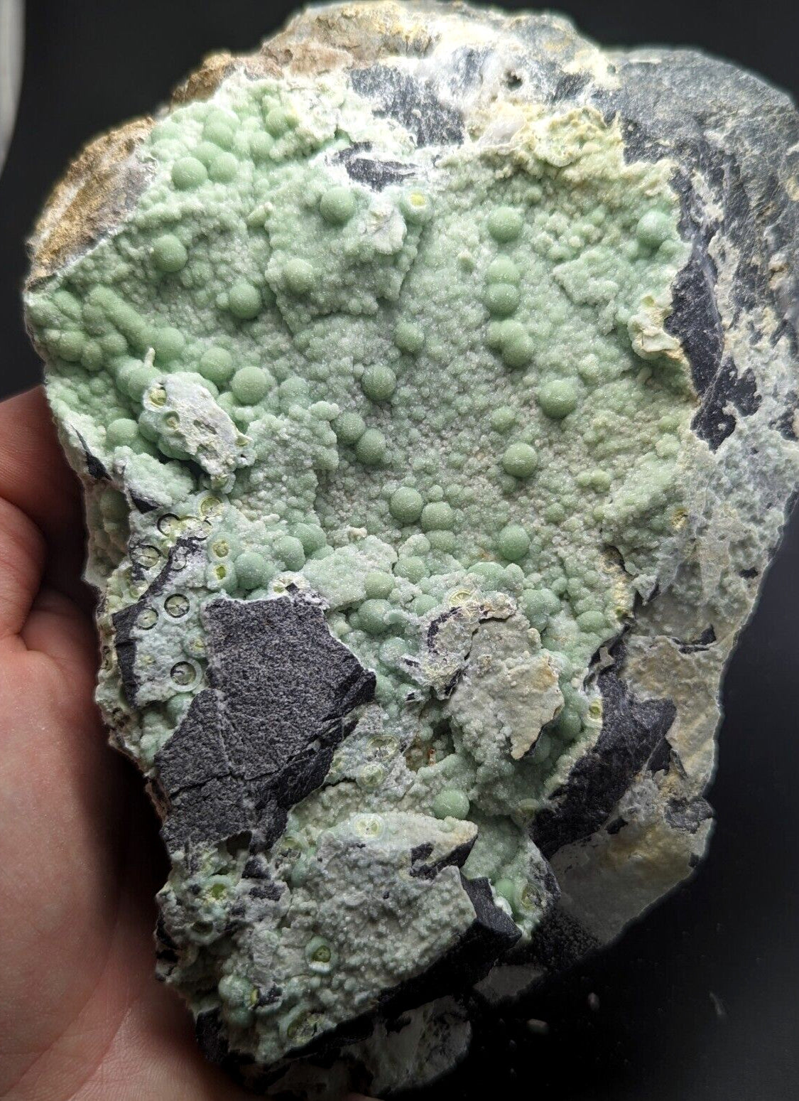 A hand holds a rough, irregularly shaped mineral specimen featuring clusters of light green, rounded nodules embedded in a matrix of gray and white rock.