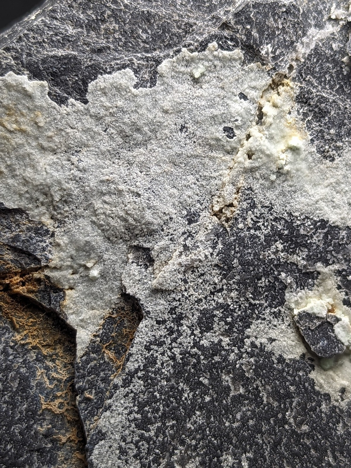 A rugged, naturally occurring rock with a dark gray base and patches of coarse white mineral deposits.